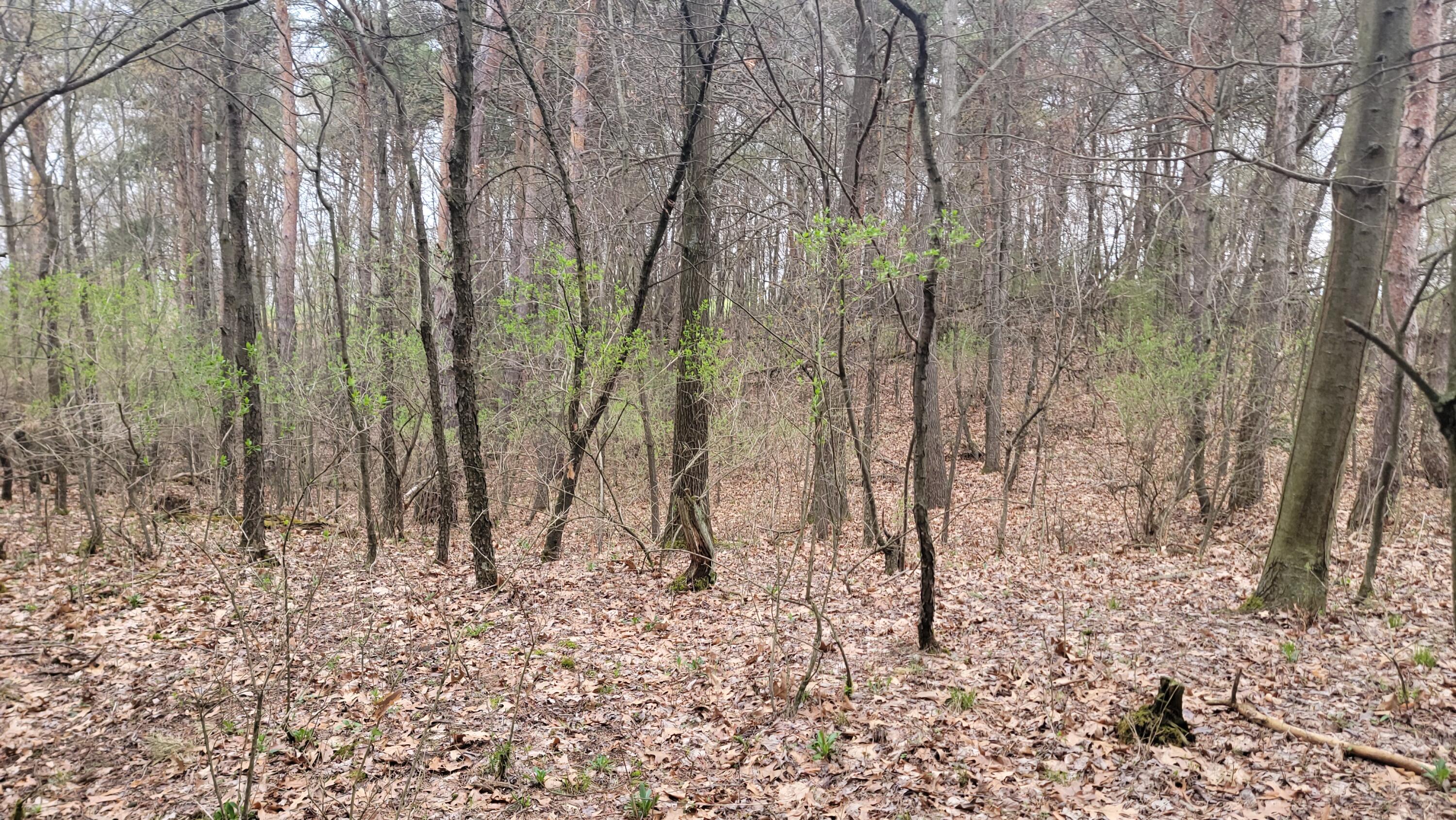 2180 Harwood Road Property Photo 14