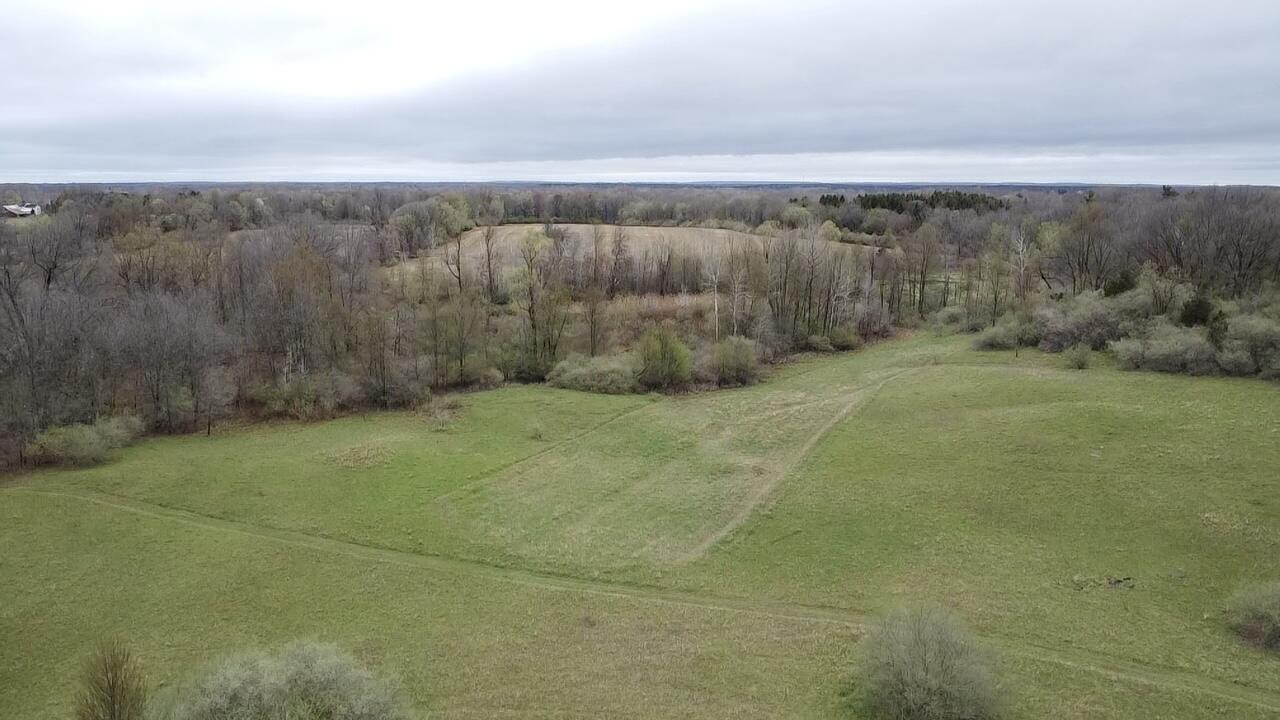 3131 S Lapeer Road Property Photo 5