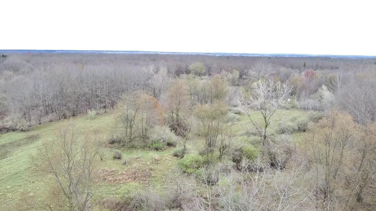 3131 S Lapeer Road Property Photo 10