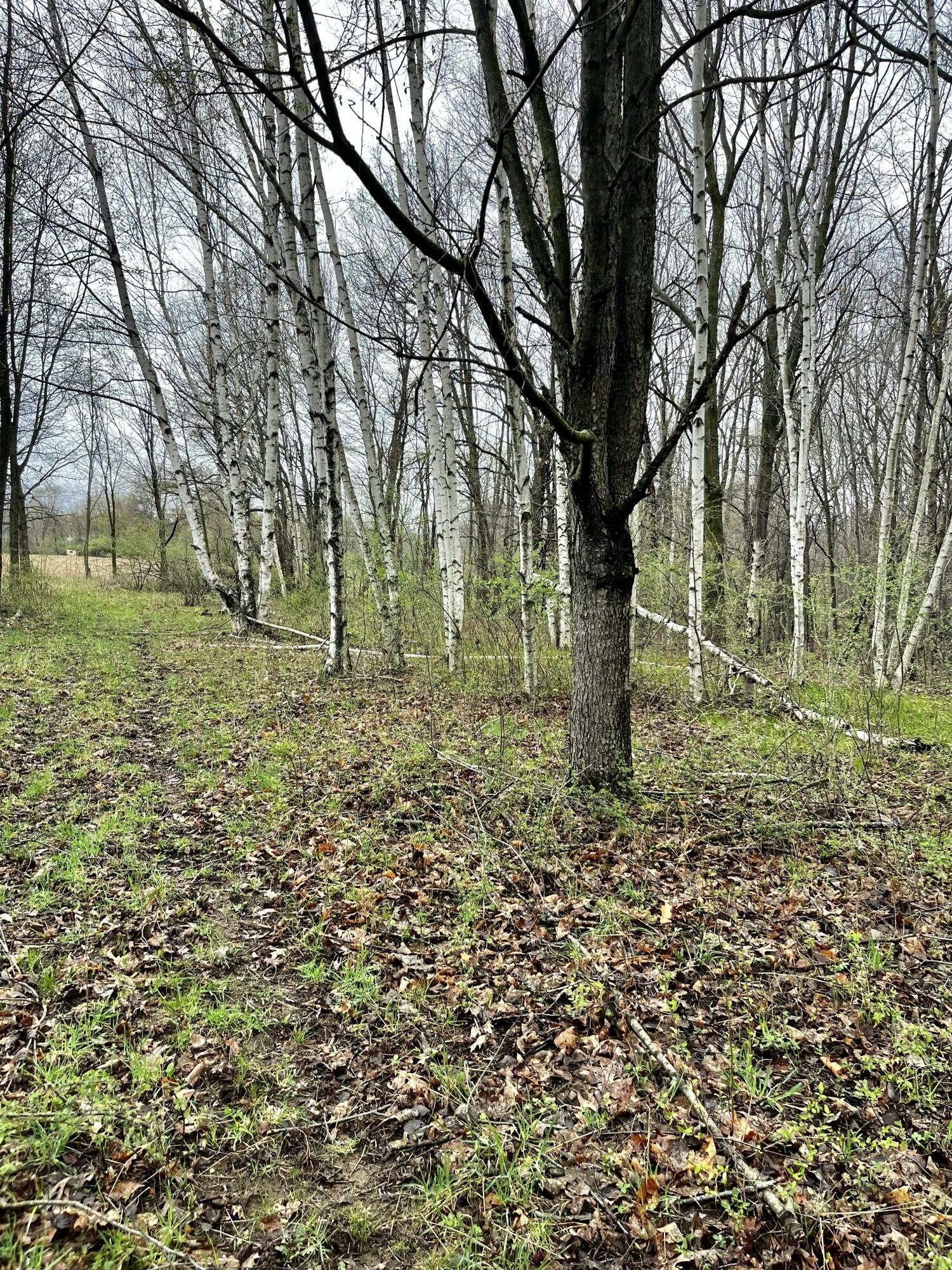 3131 S Lapeer Road Property Photo 24