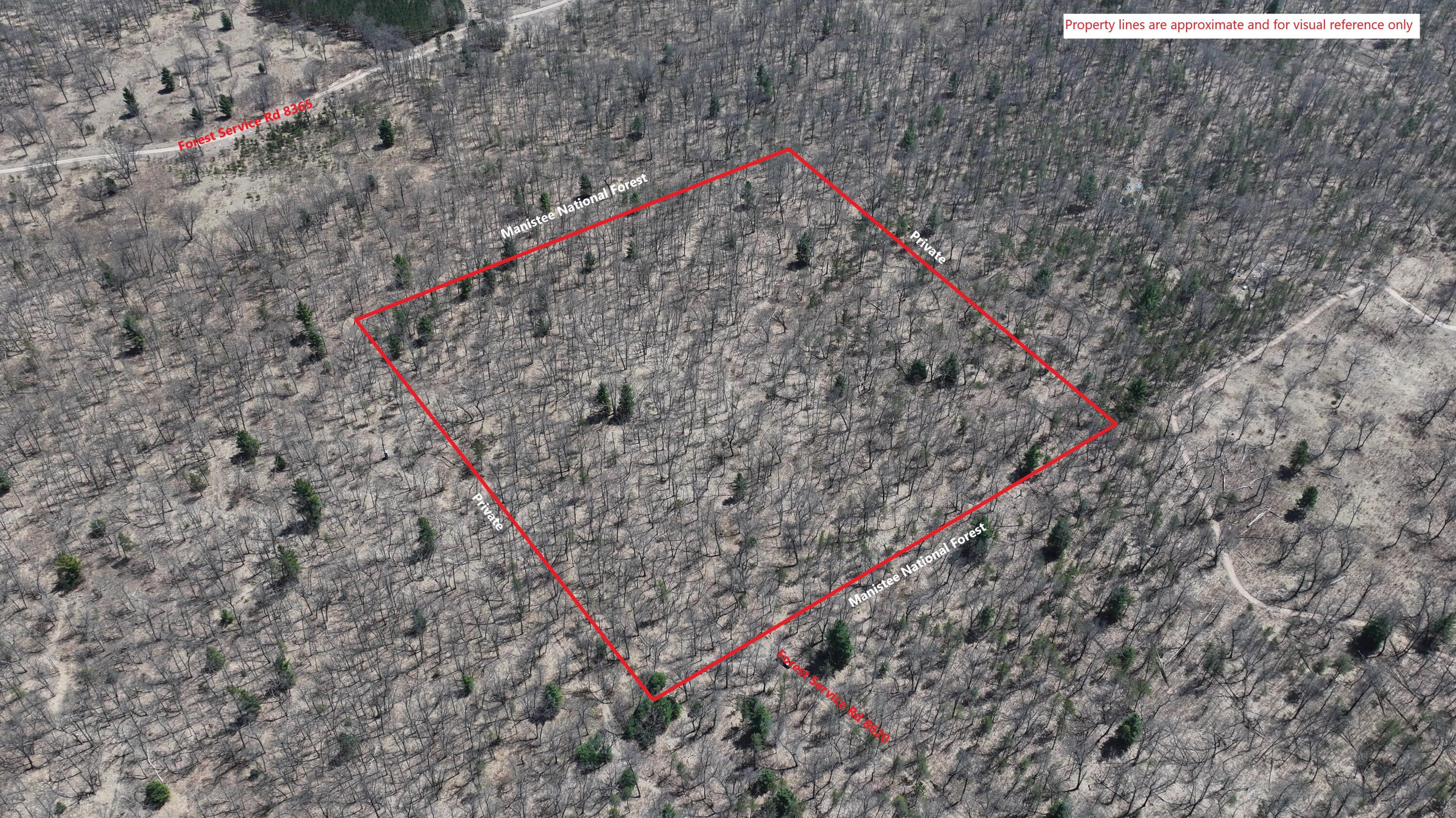 V/l Free Soil Property Photo 1