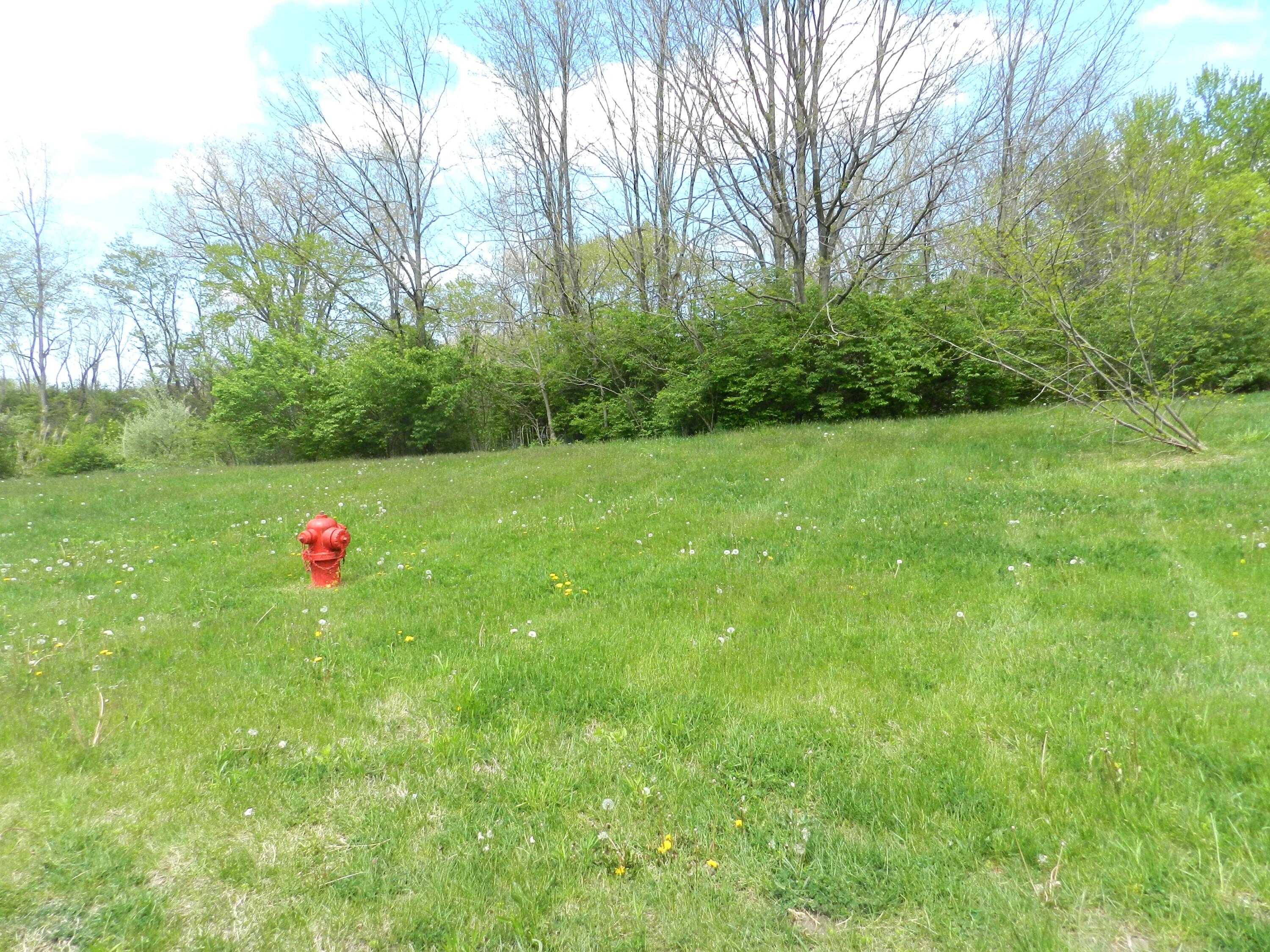 525 Swan River Drive Property Photo 1