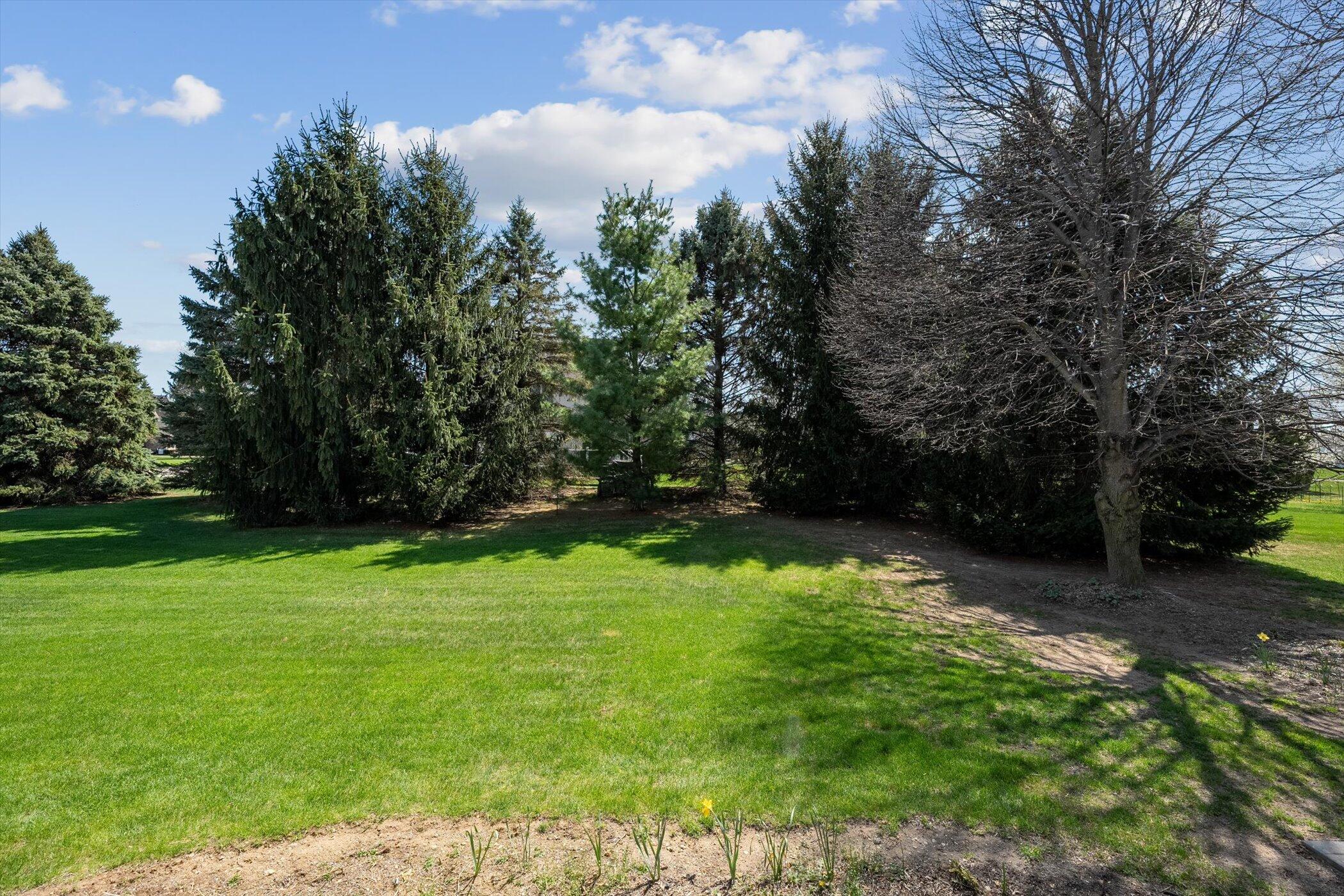 13732 Monarch Drive Property Photo 36