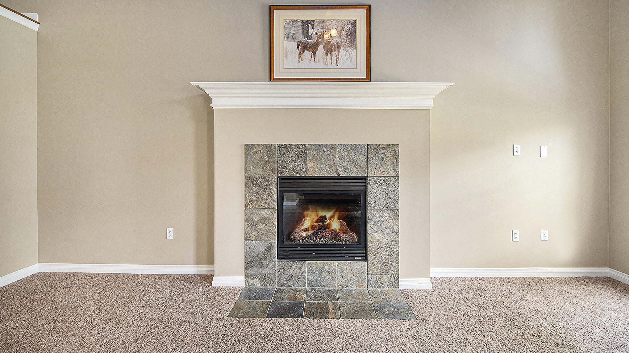 4607 Spring Mountain Drive Property Photo 8