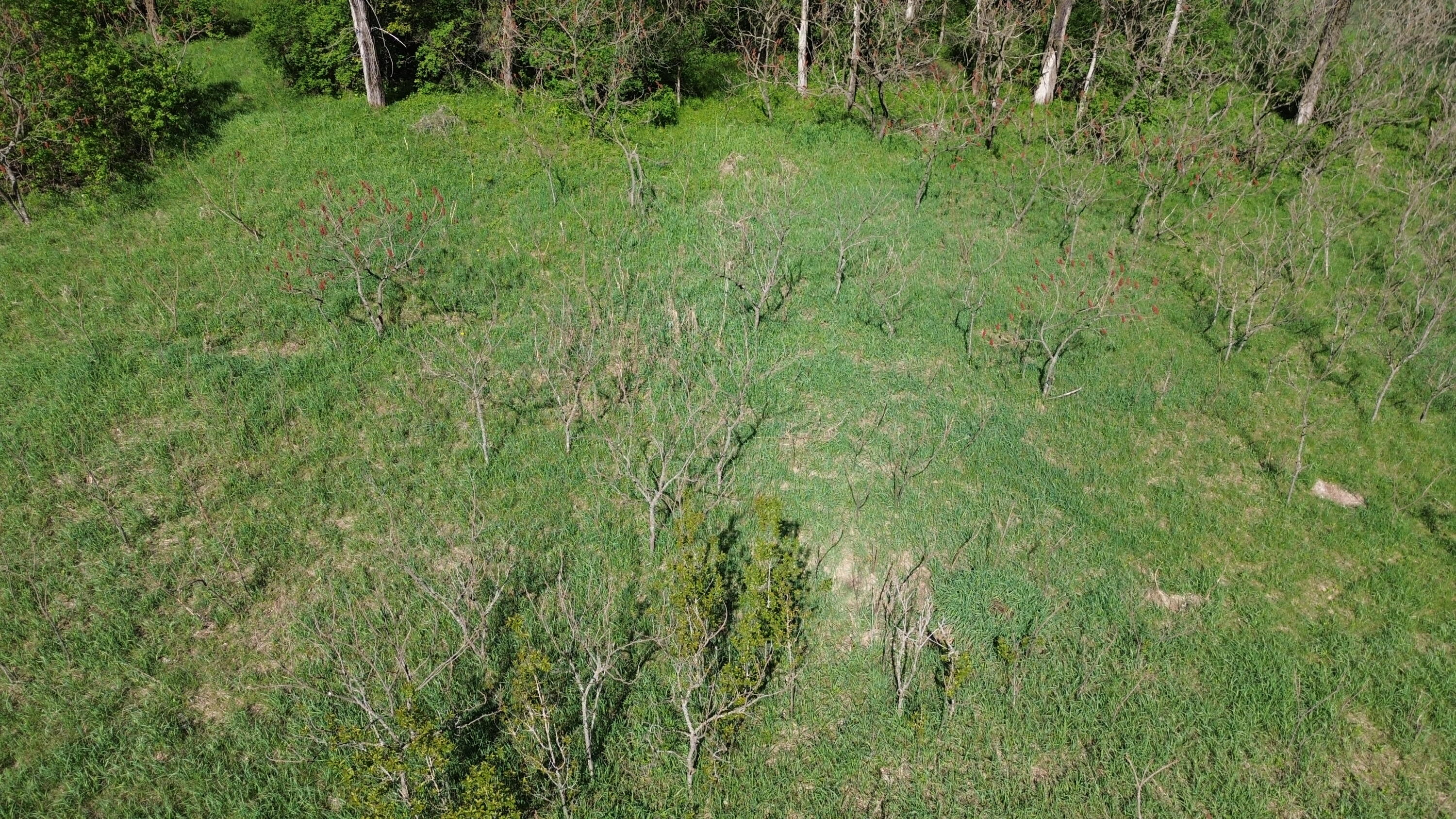 V/l Lot #'s 15 & 16 E Loop Road Property Photo 2