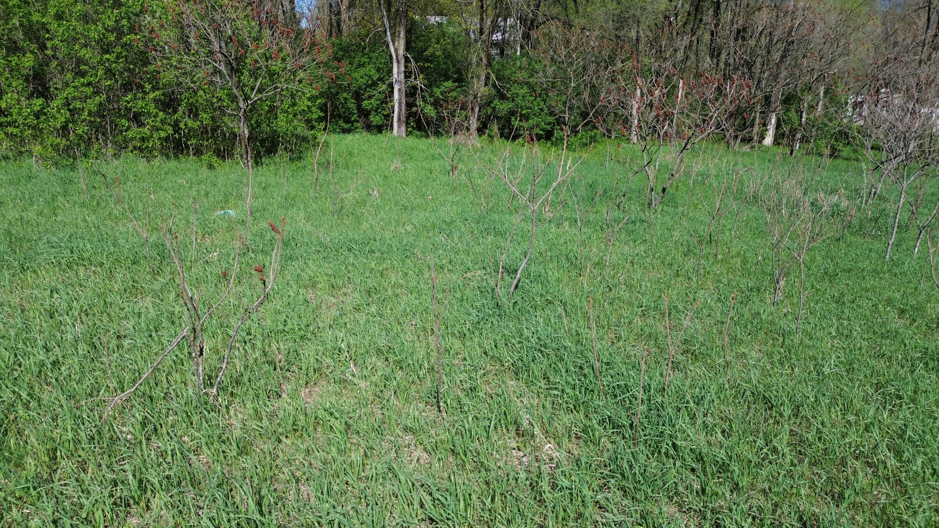 V/l Lot #'s 15 & 16 E Loop Road Property Photo 3
