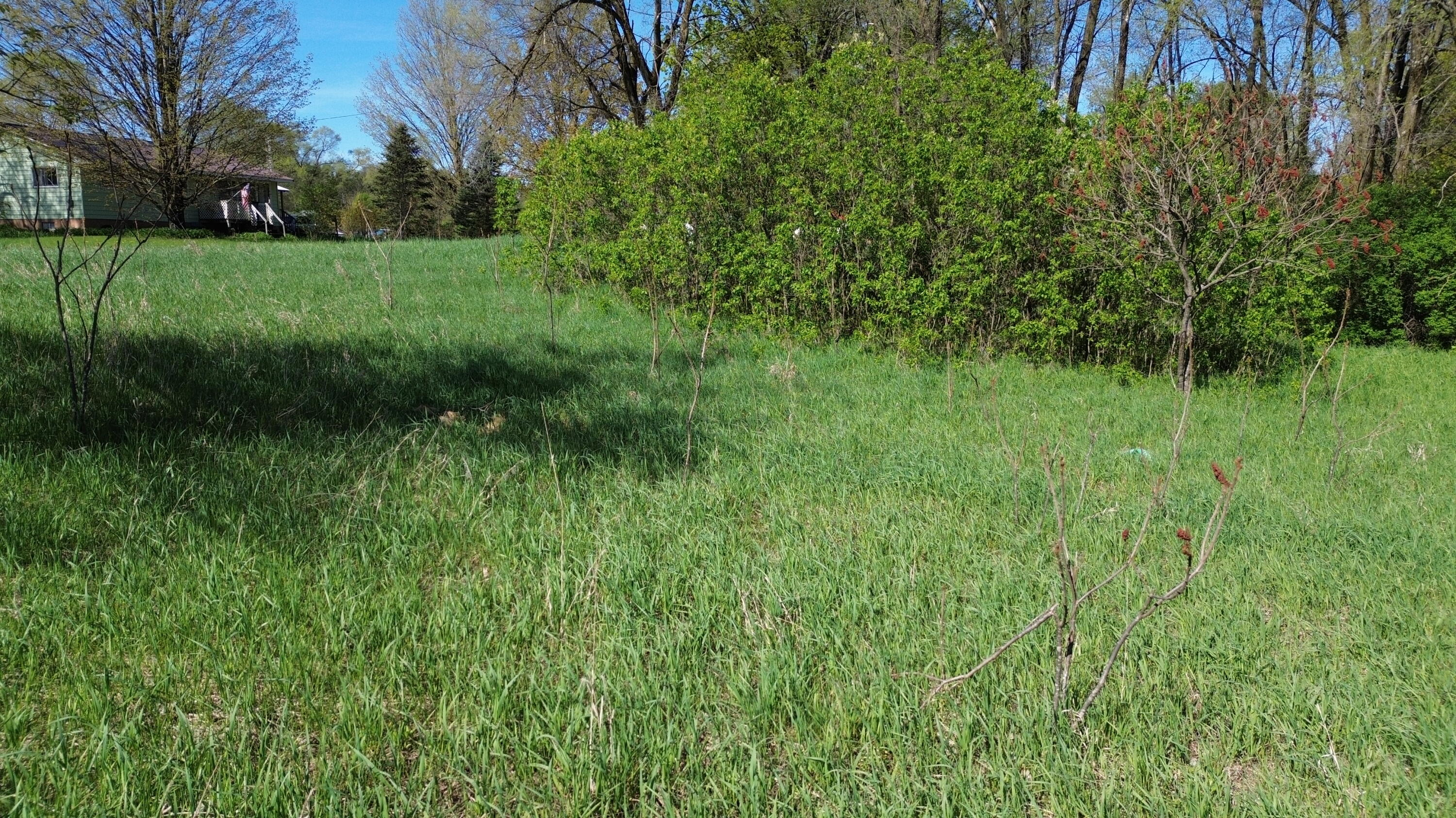 V/l Lot #'s 15 & 16 E Loop Road Property Photo 4
