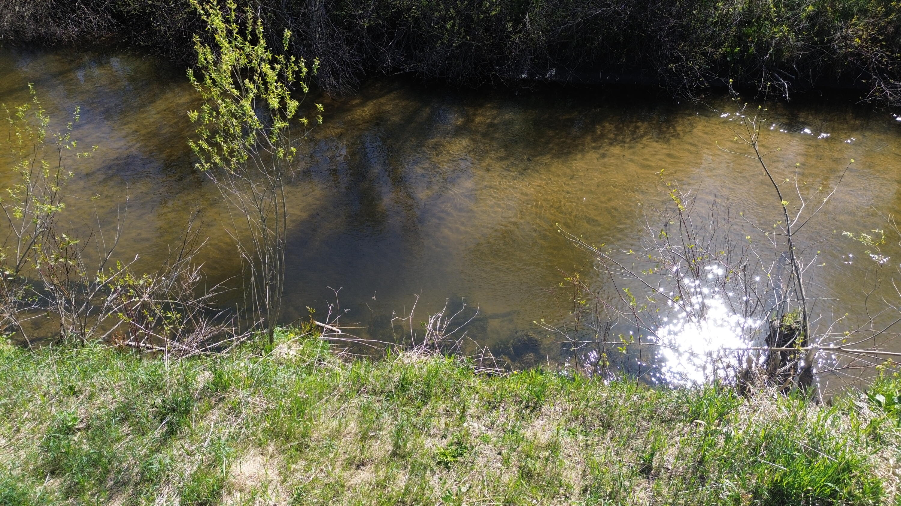 V/l Lot #'s 15 & 16 E Loop Road Property Photo 14