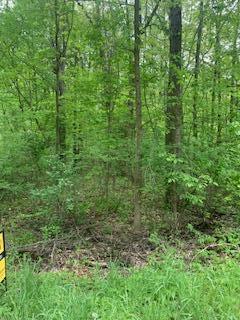Lots 12-13 Crandall Road Property Photo 4