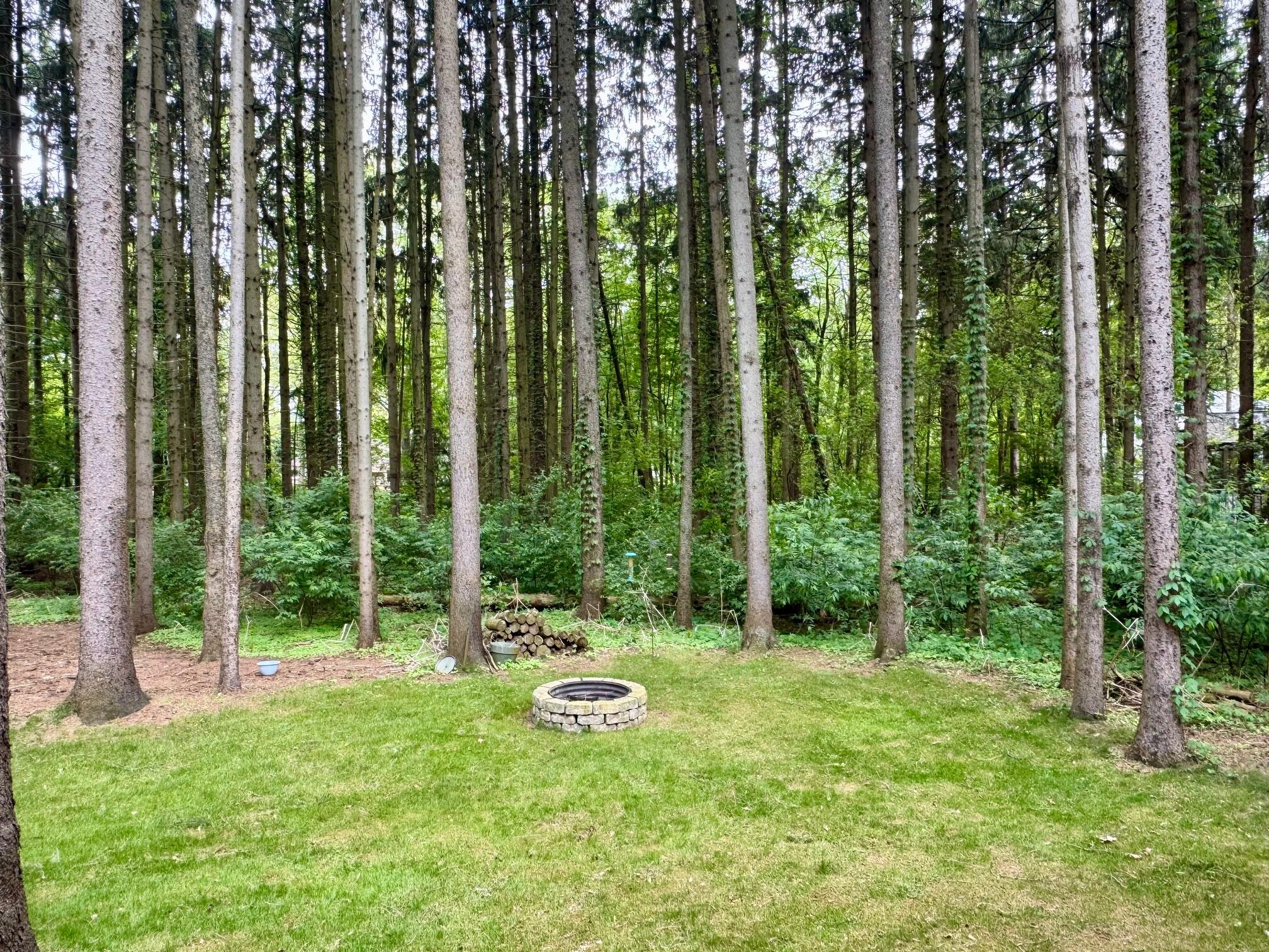 9641 Rolling Greens Drive Property Photo 8