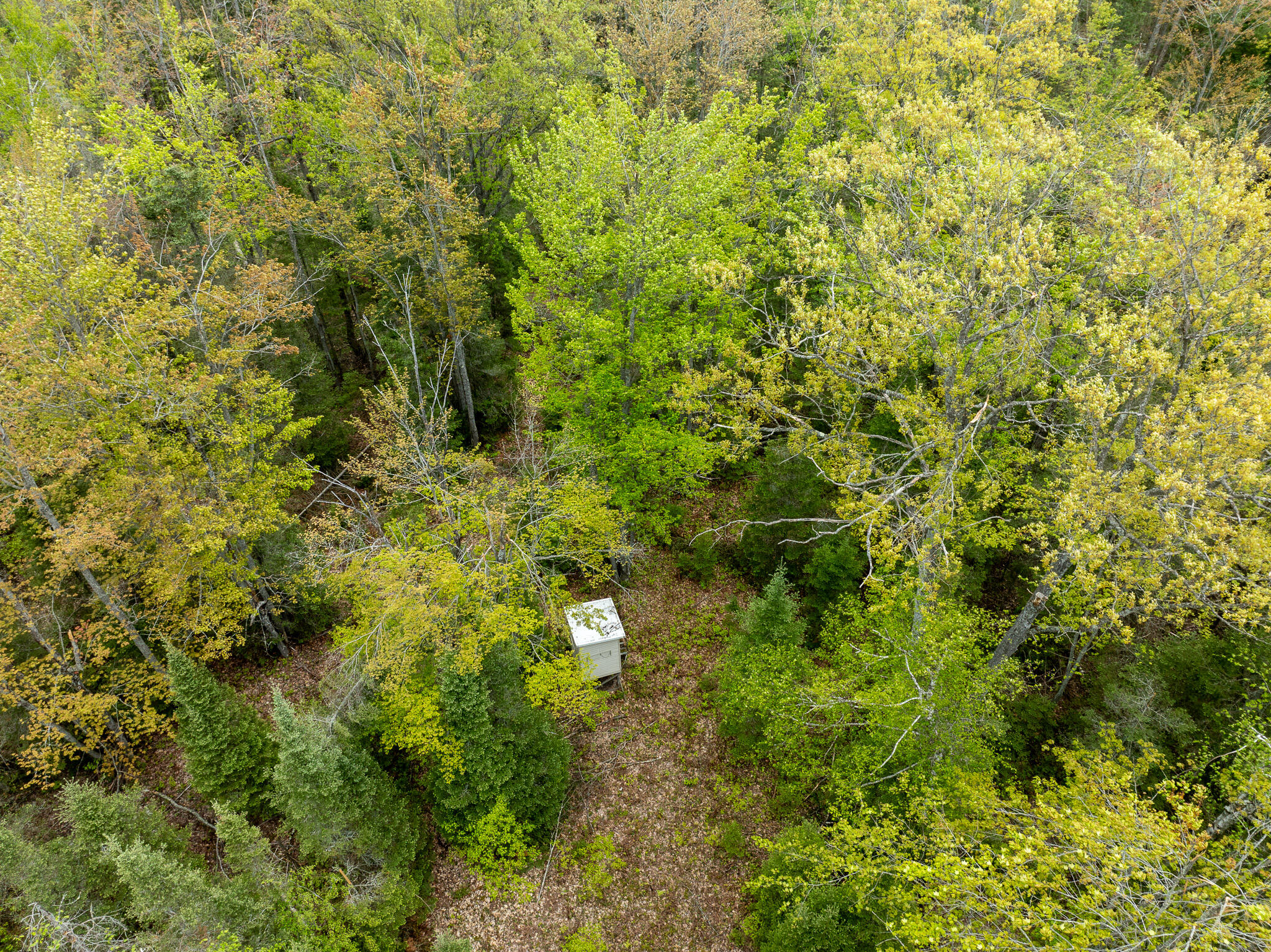 5860 Turtle Lake Road Property Photo 42