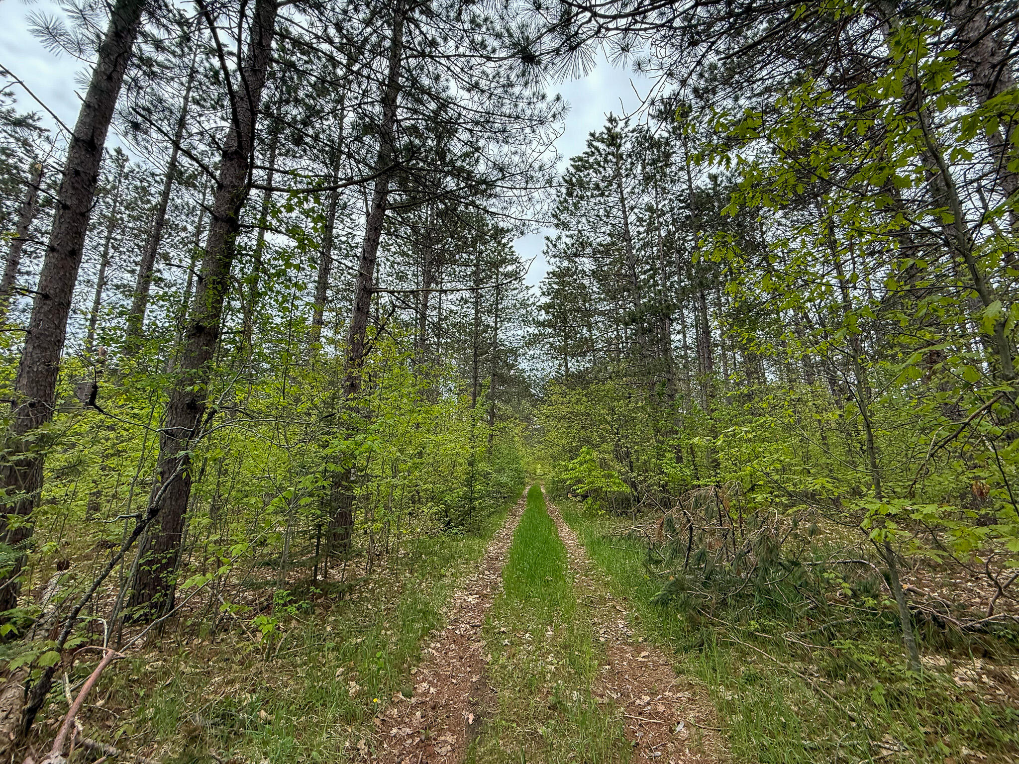 5860 Turtle Lake Road Property Photo 50