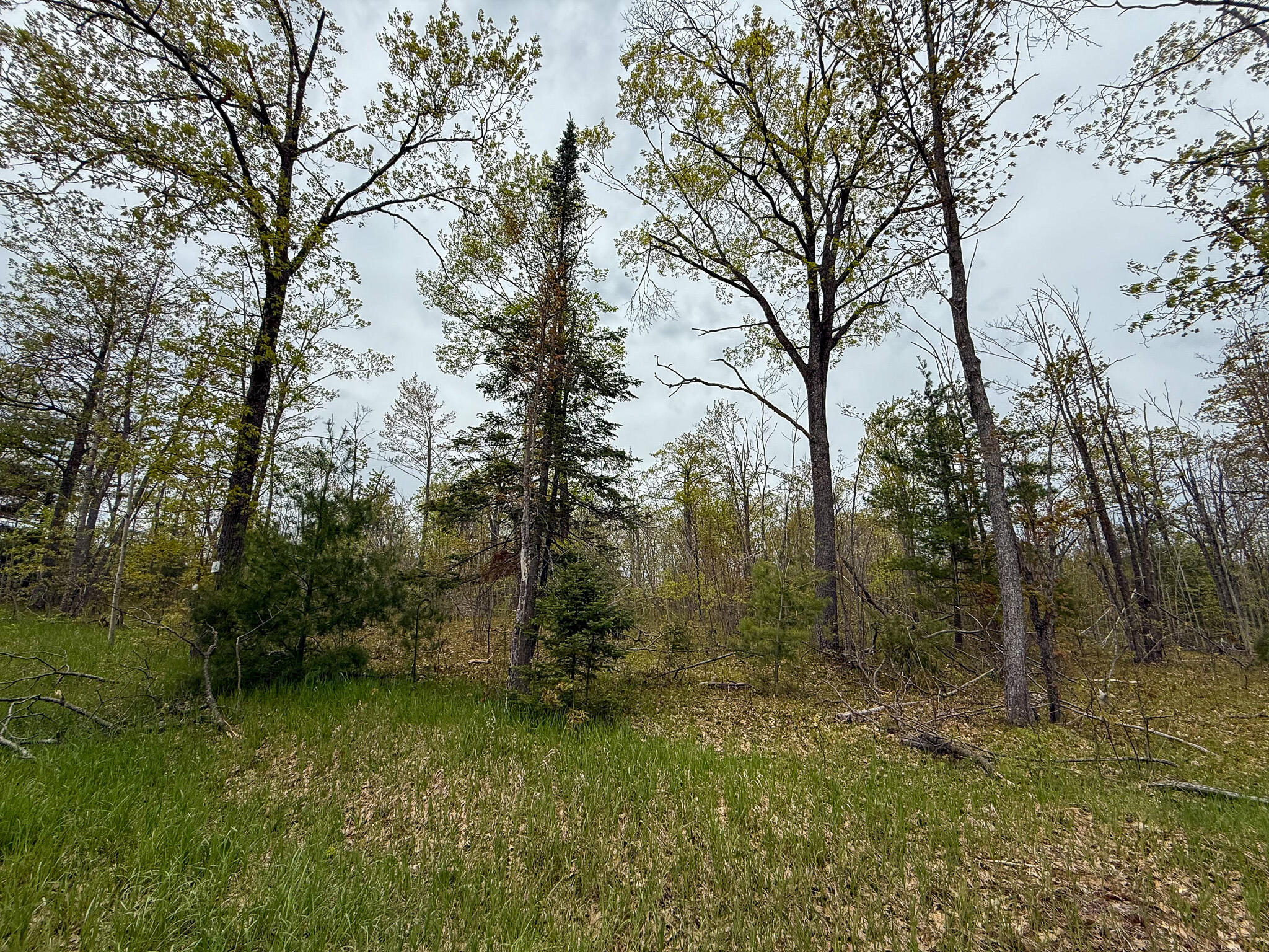 5860 Turtle Lake Road Property Photo 54