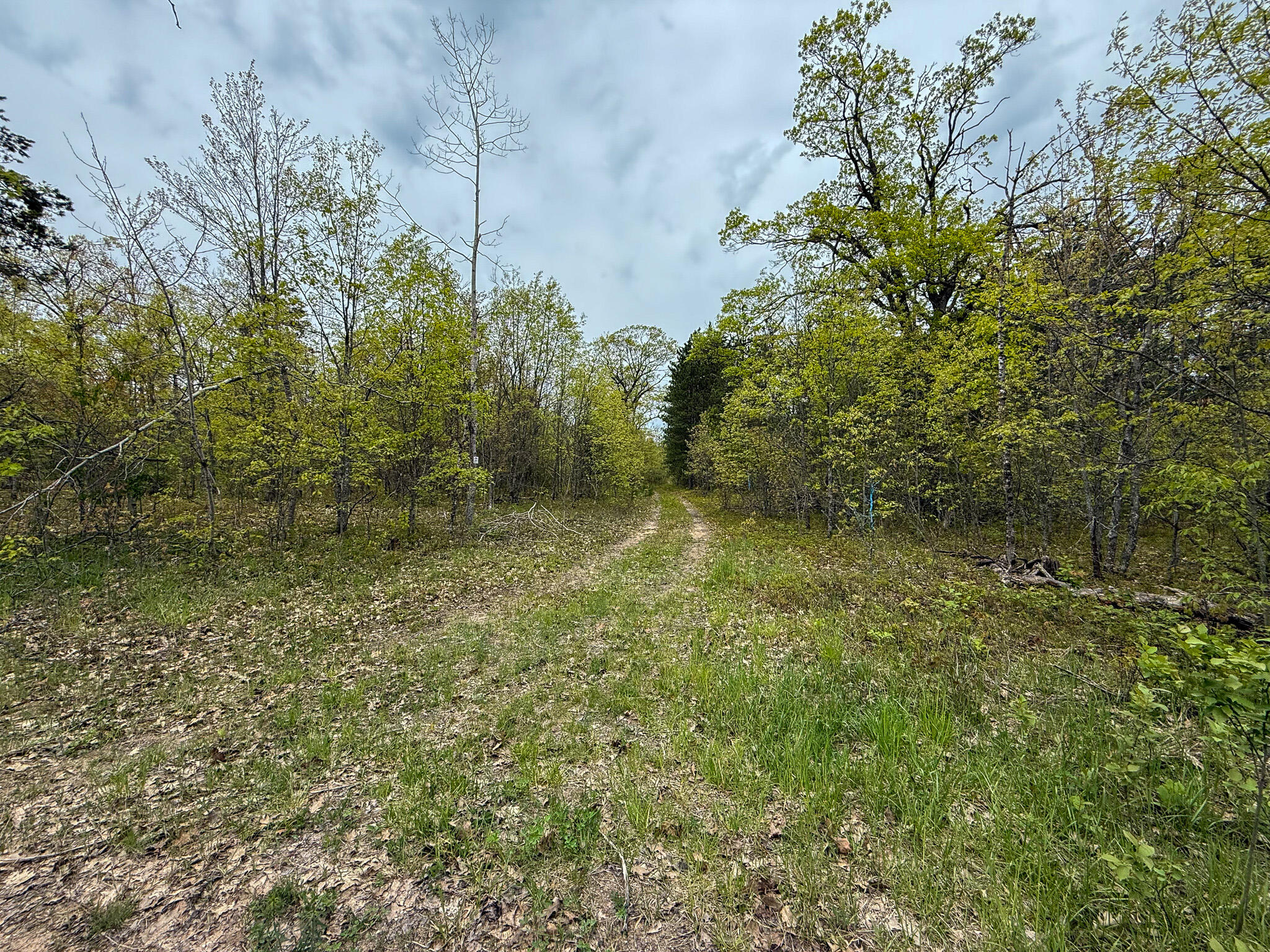5860 Turtle Lake Road Property Photo 58