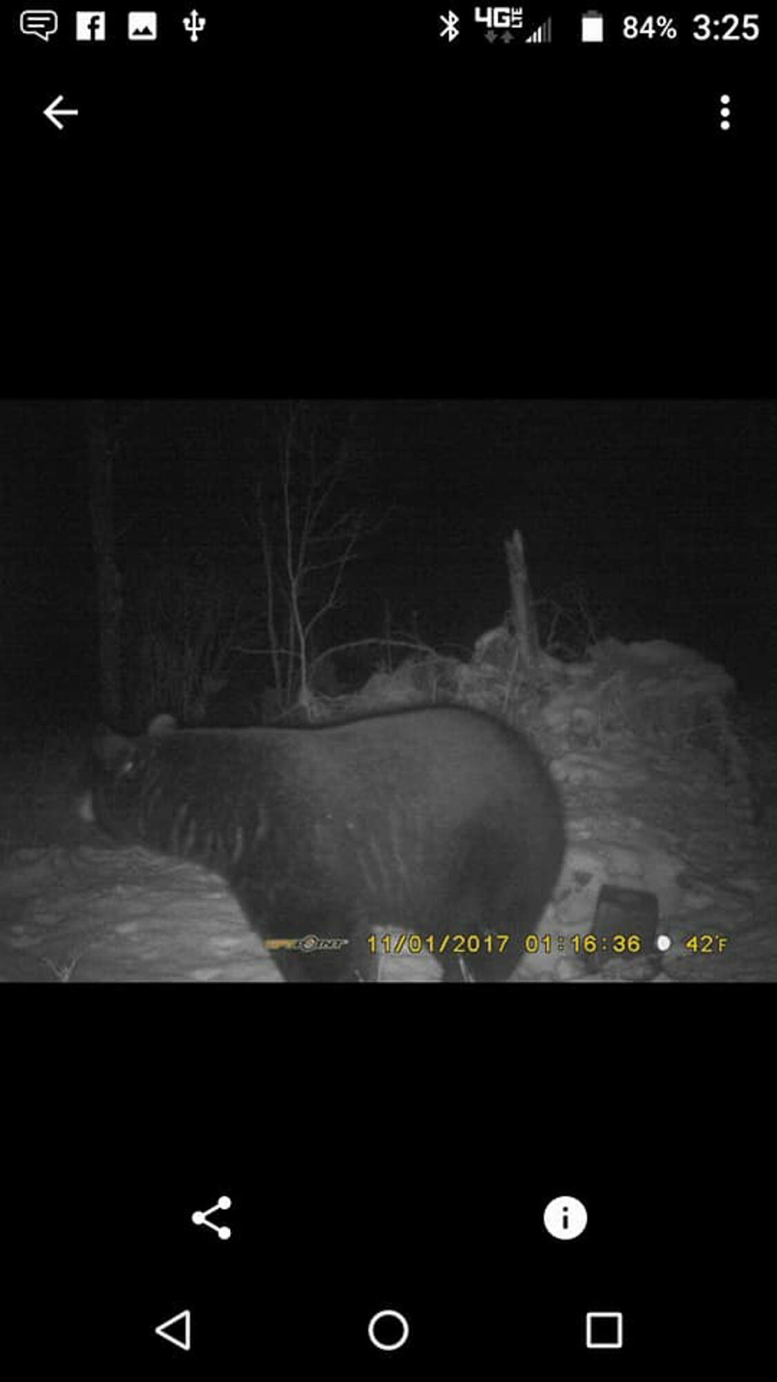 5860 Turtle Lake Road Property Photo 67