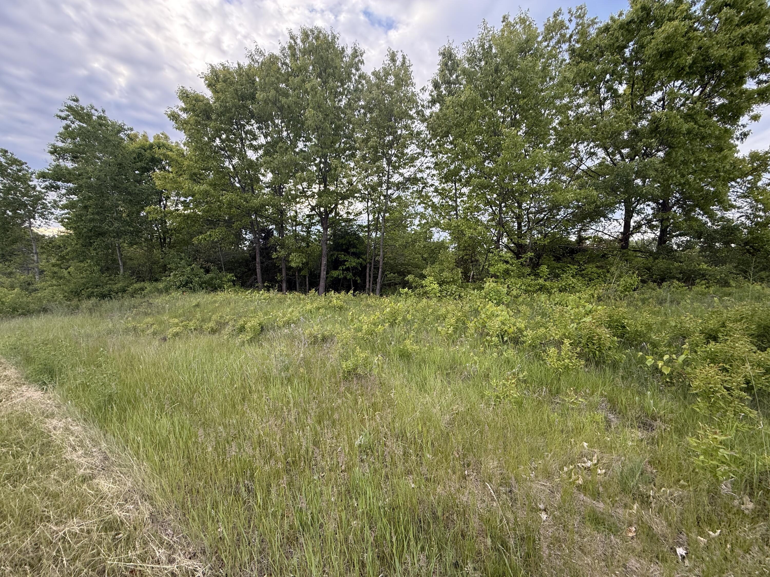 Vl E Chicago Road Property Photo 13