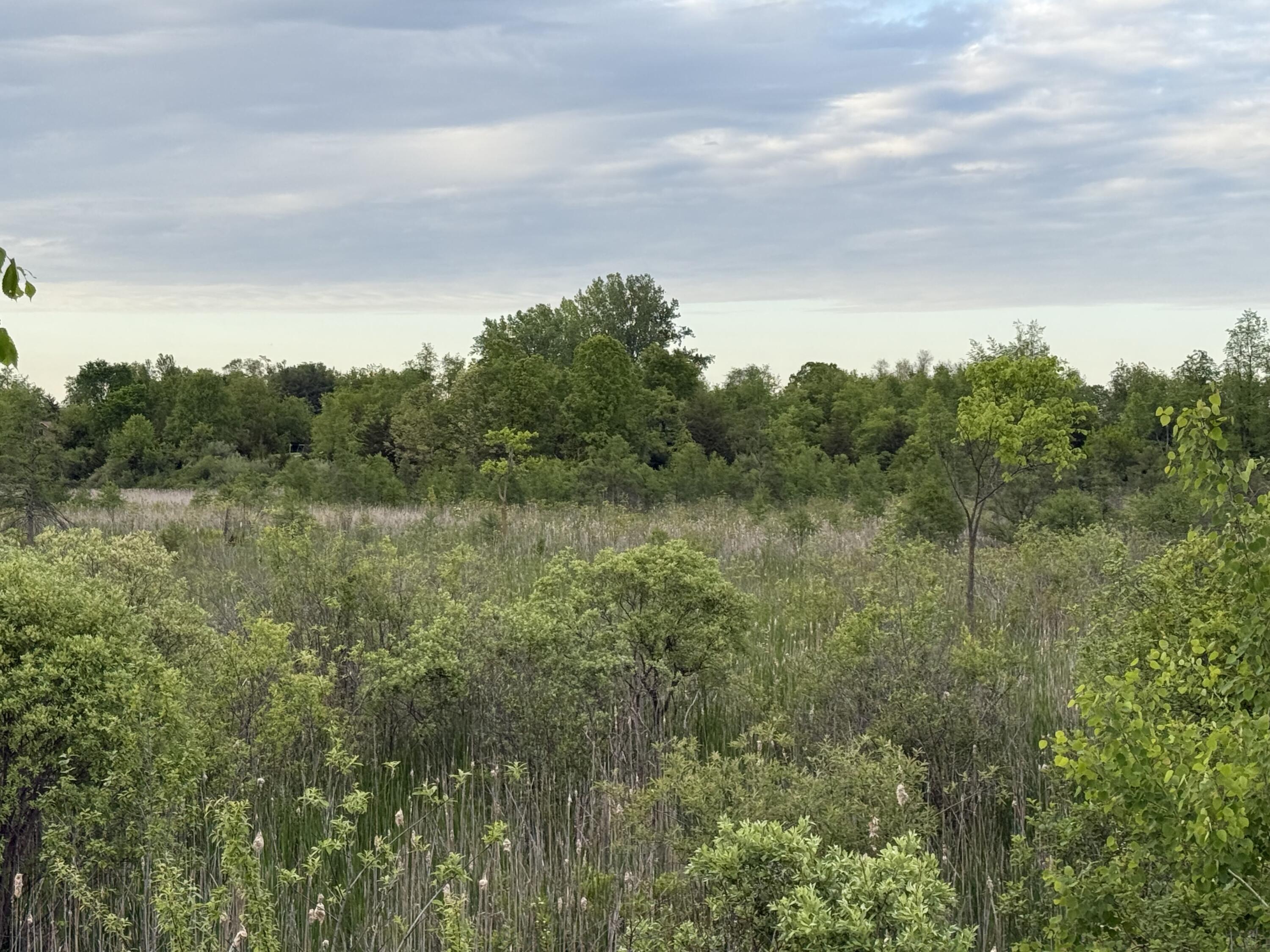 Vl E Chicago Road Property Photo 15