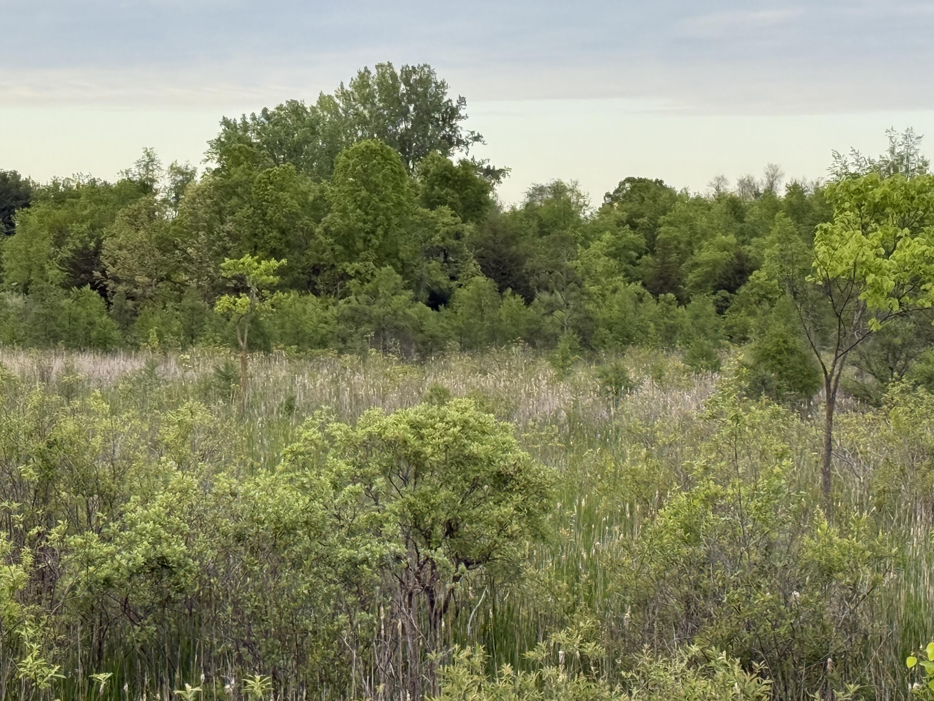 Vl E Chicago Road Property Photo 16