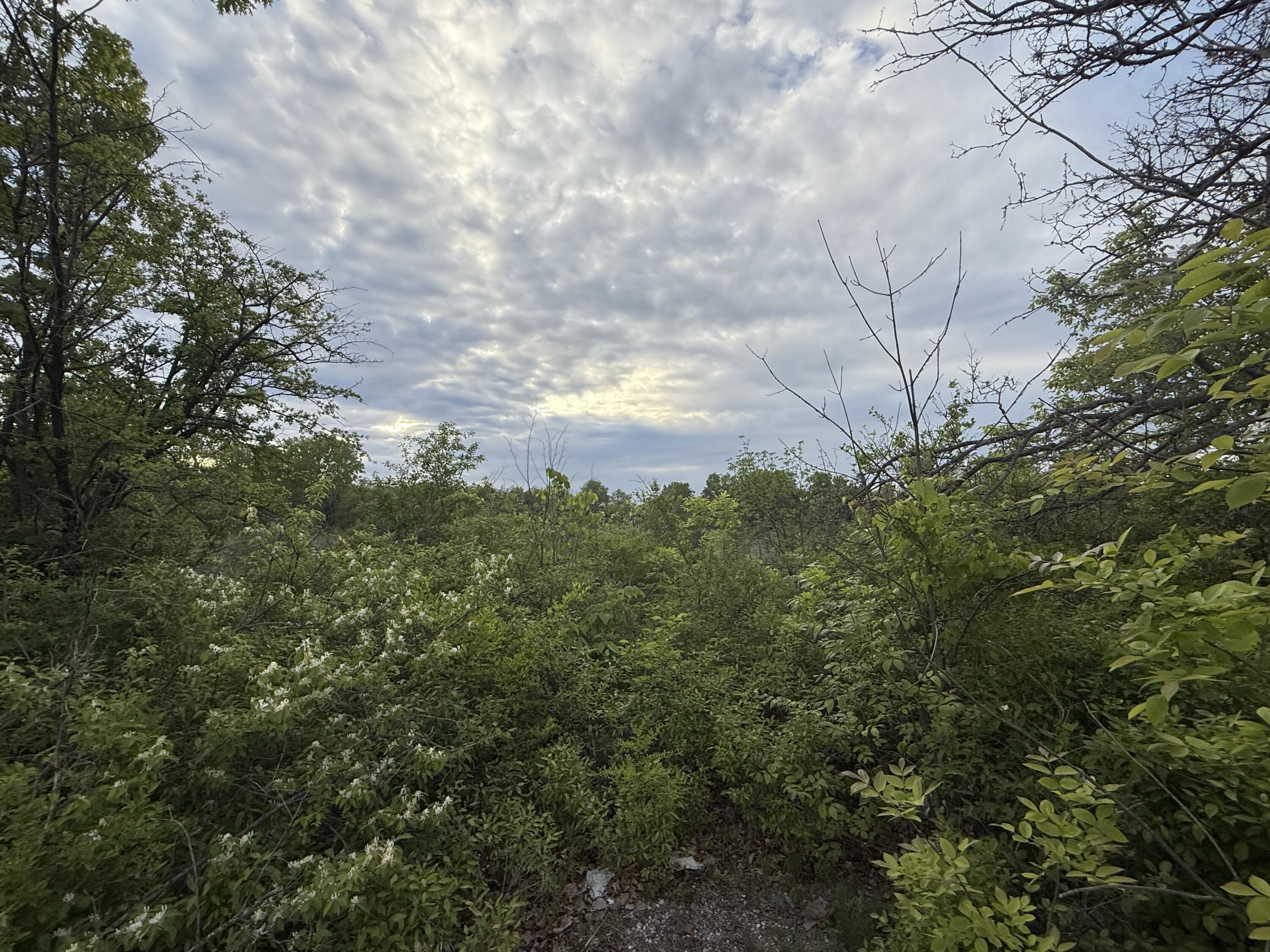 Vl E Chicago Road Property Photo 17