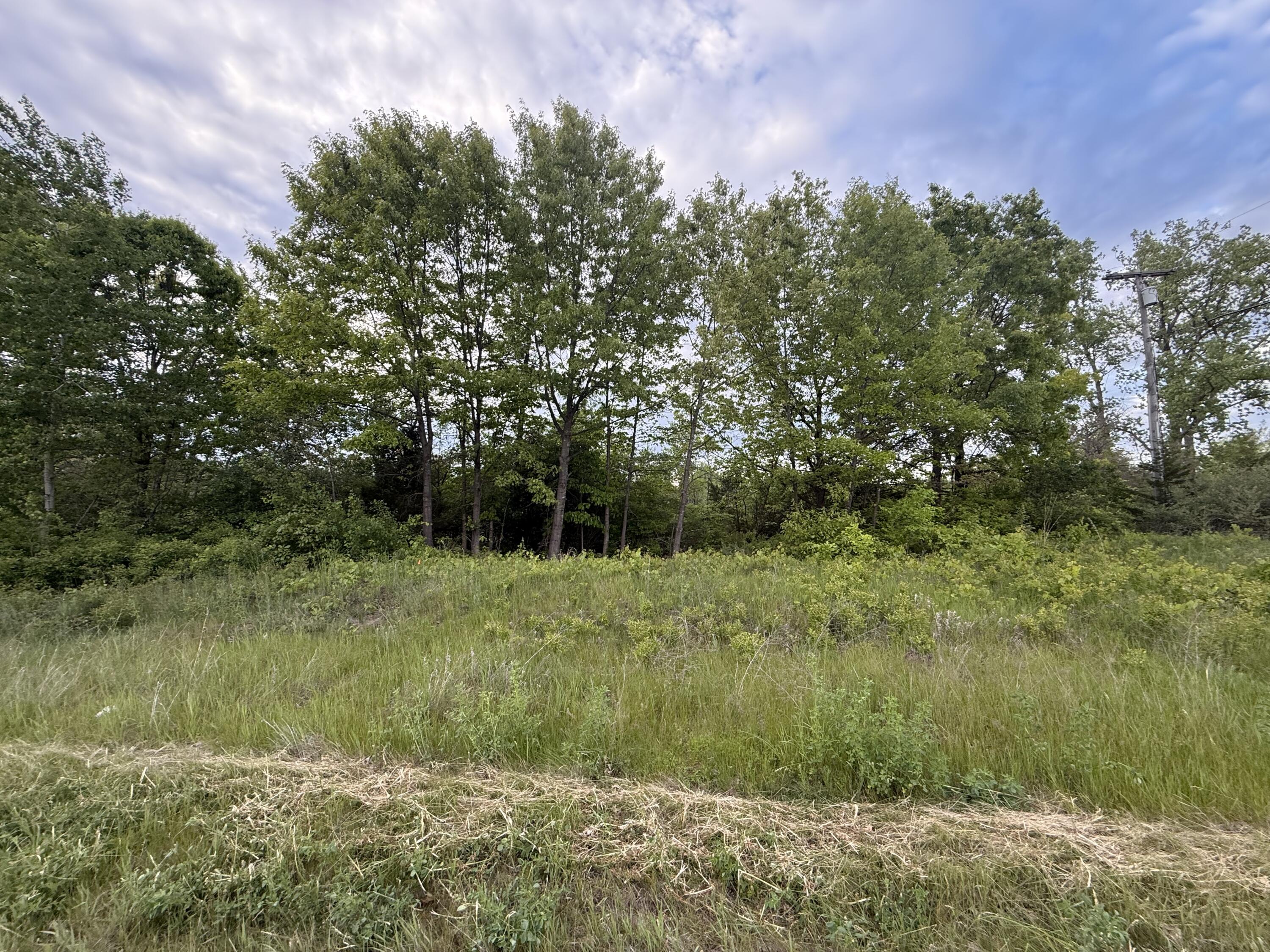 Vl E Chicago Road Property Photo 19