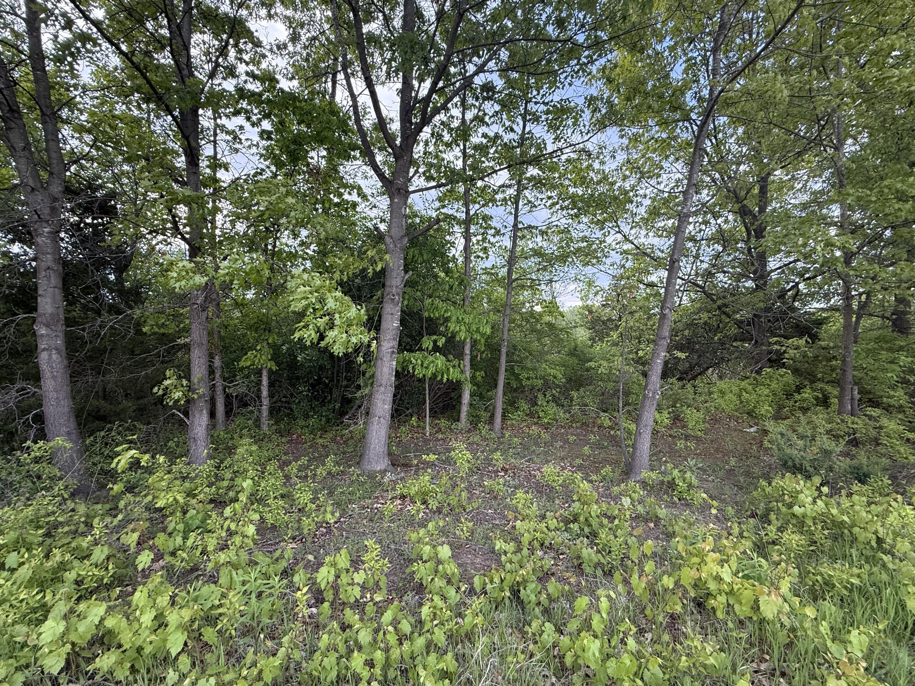 Vl E Chicago Road Property Photo 20