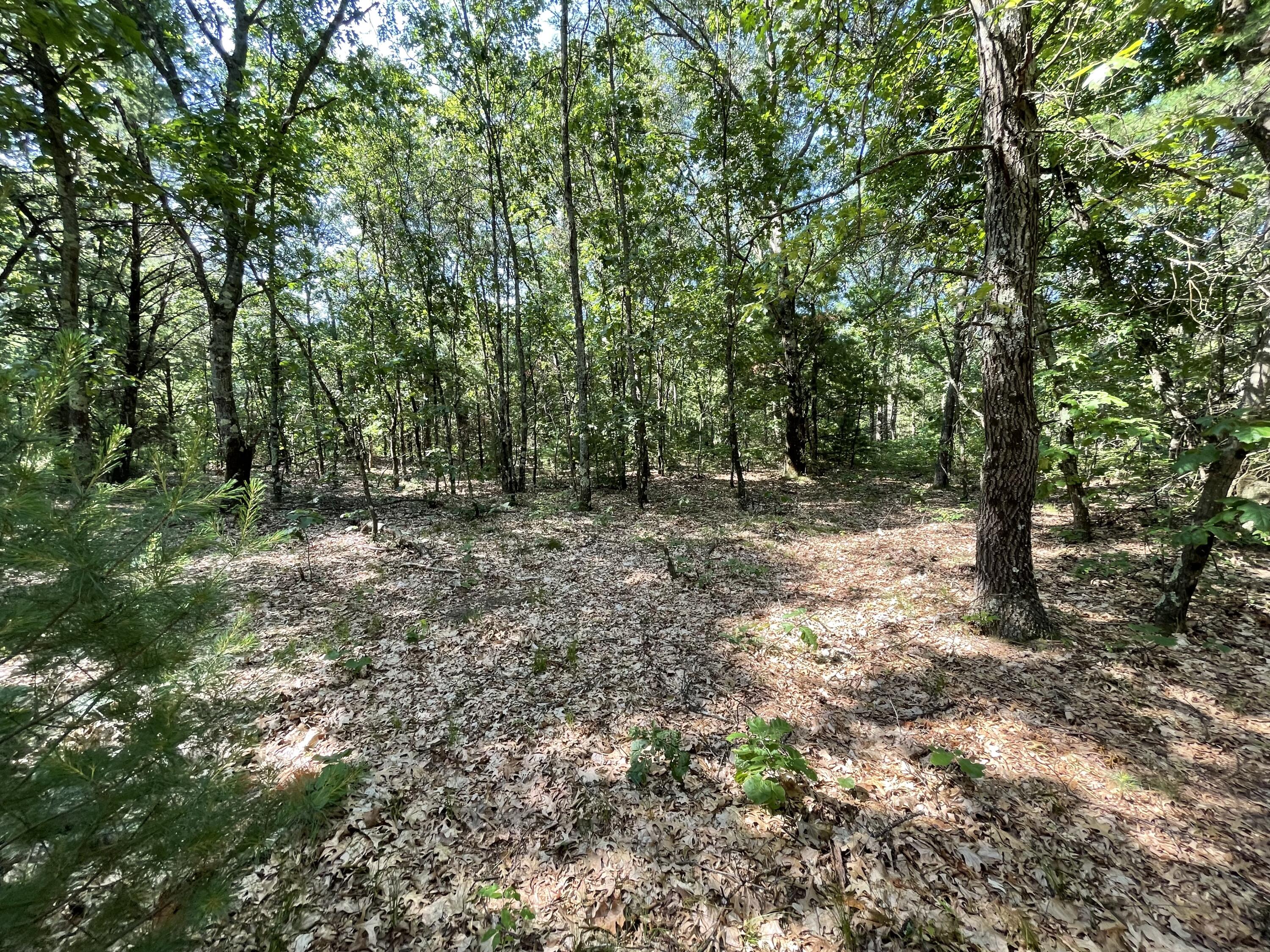 Ewing Road Property Photo 5