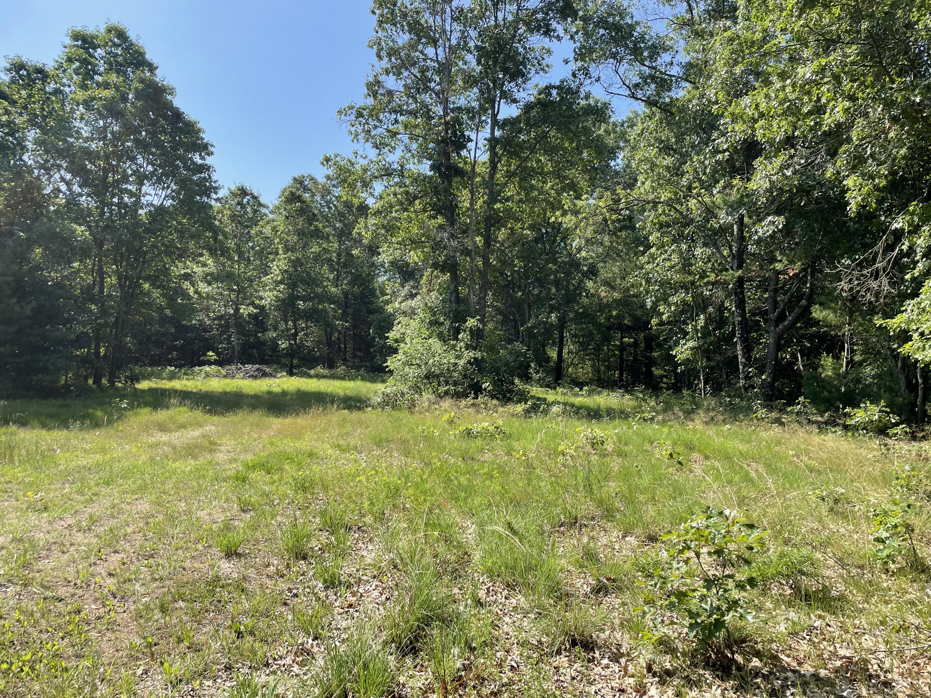 Ewing Road Property Photo 8
