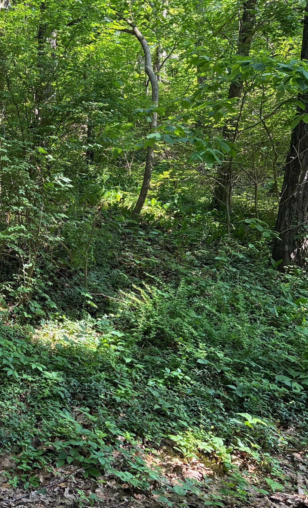 6 Lilac Lane Property Photo 1