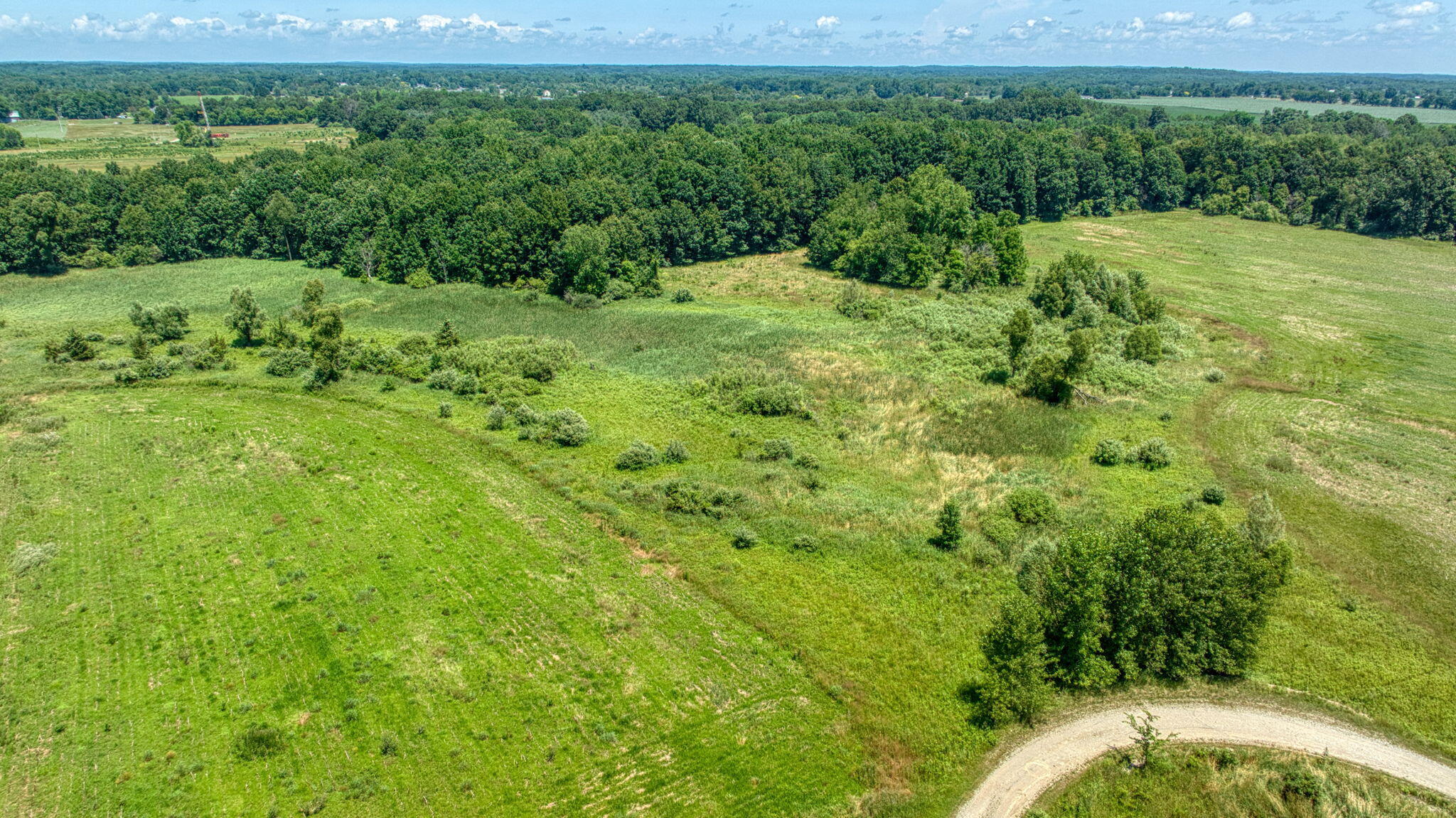 8896 Case Road Property Photo 3