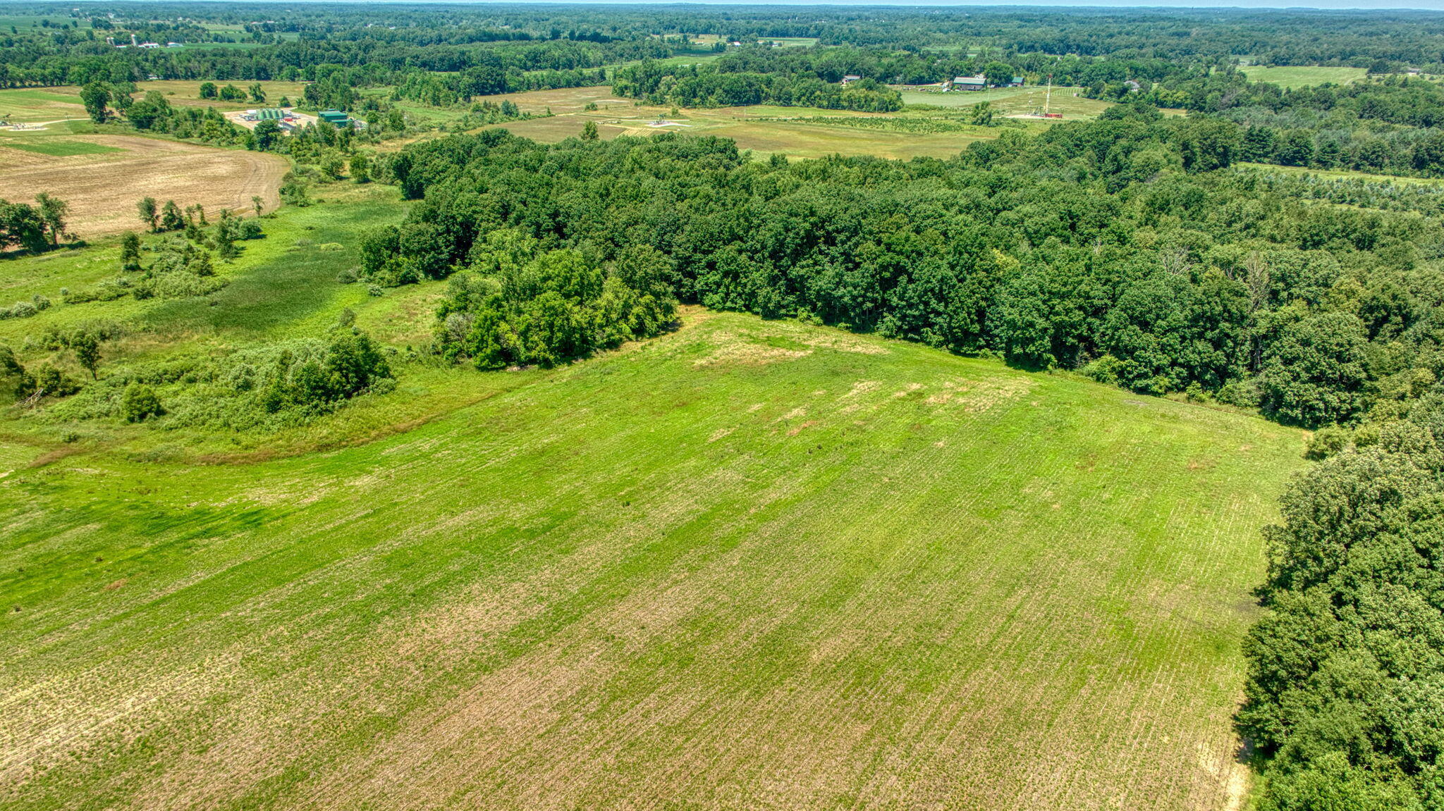8896 Case Road Property Photo 5