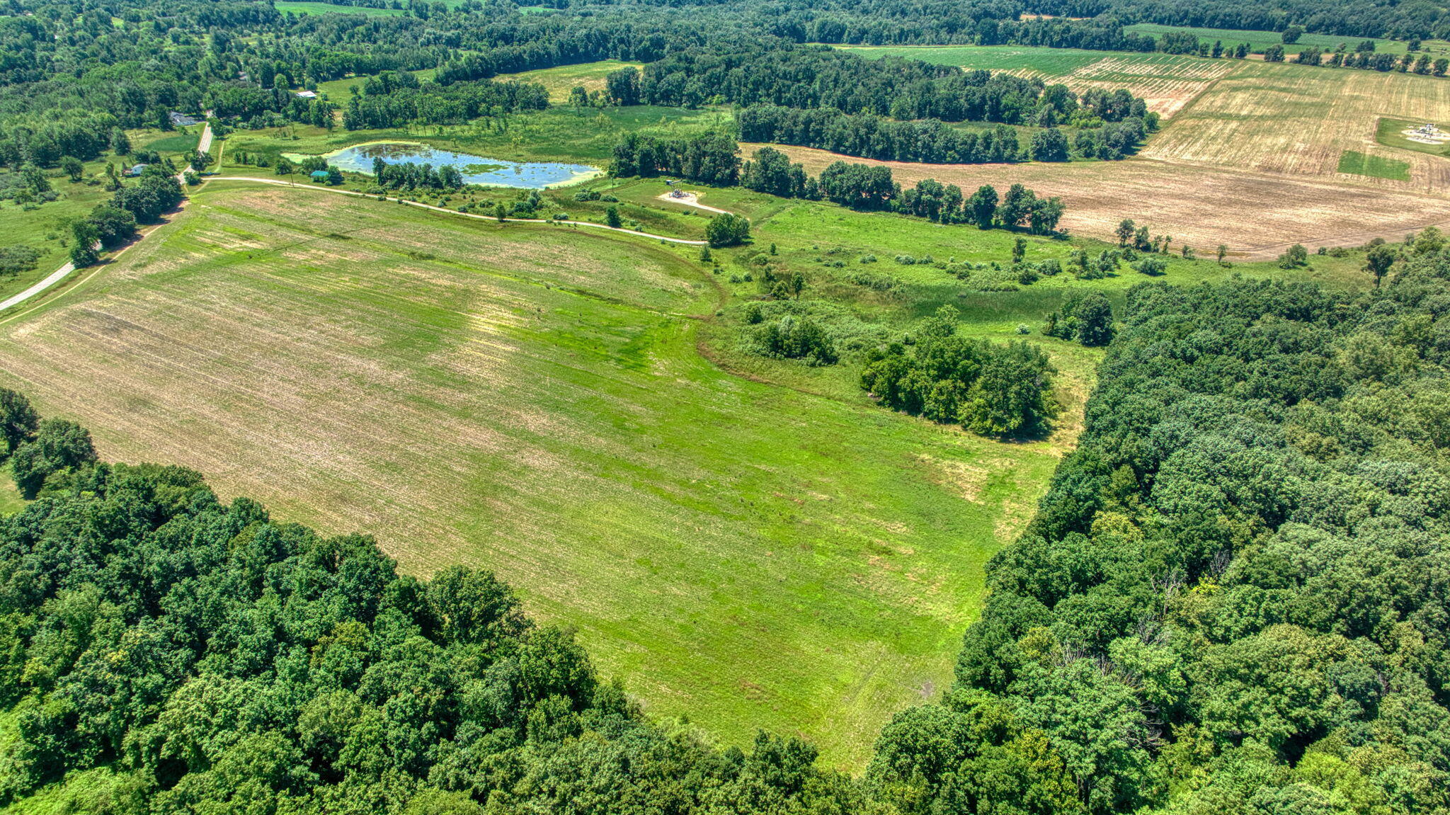 8896 Case Road Property Photo 9