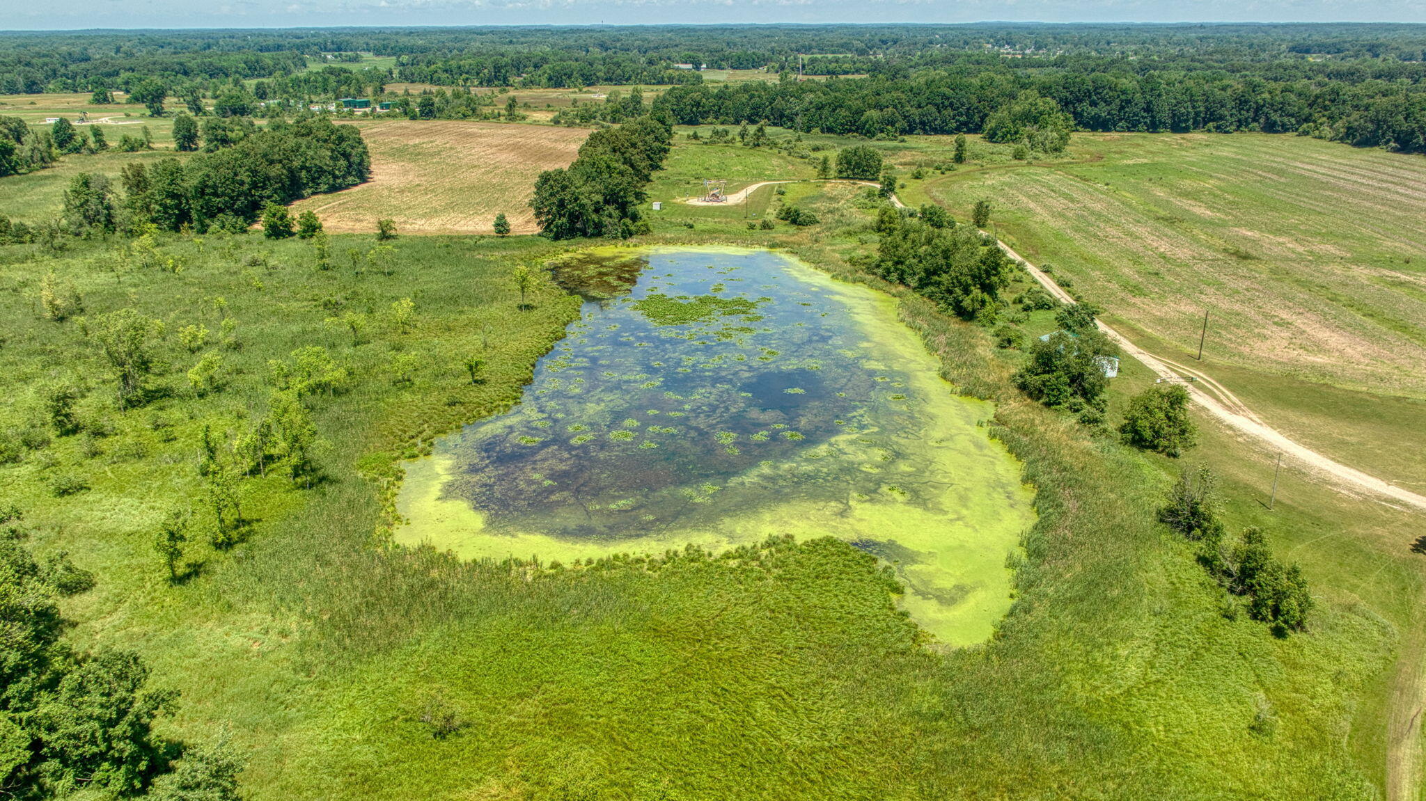 8896 Case Road Property Photo 11