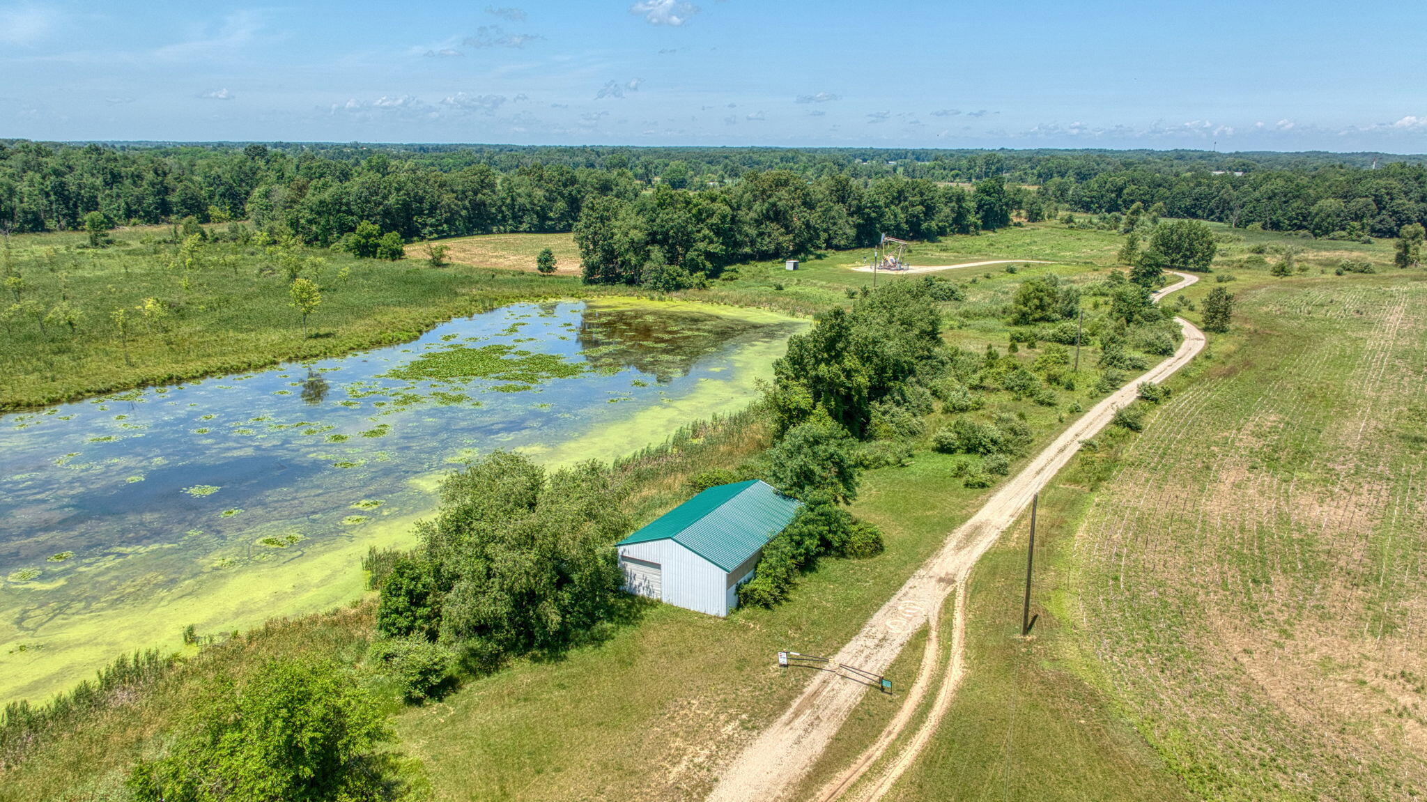 8896 Case Road Property Photo 17