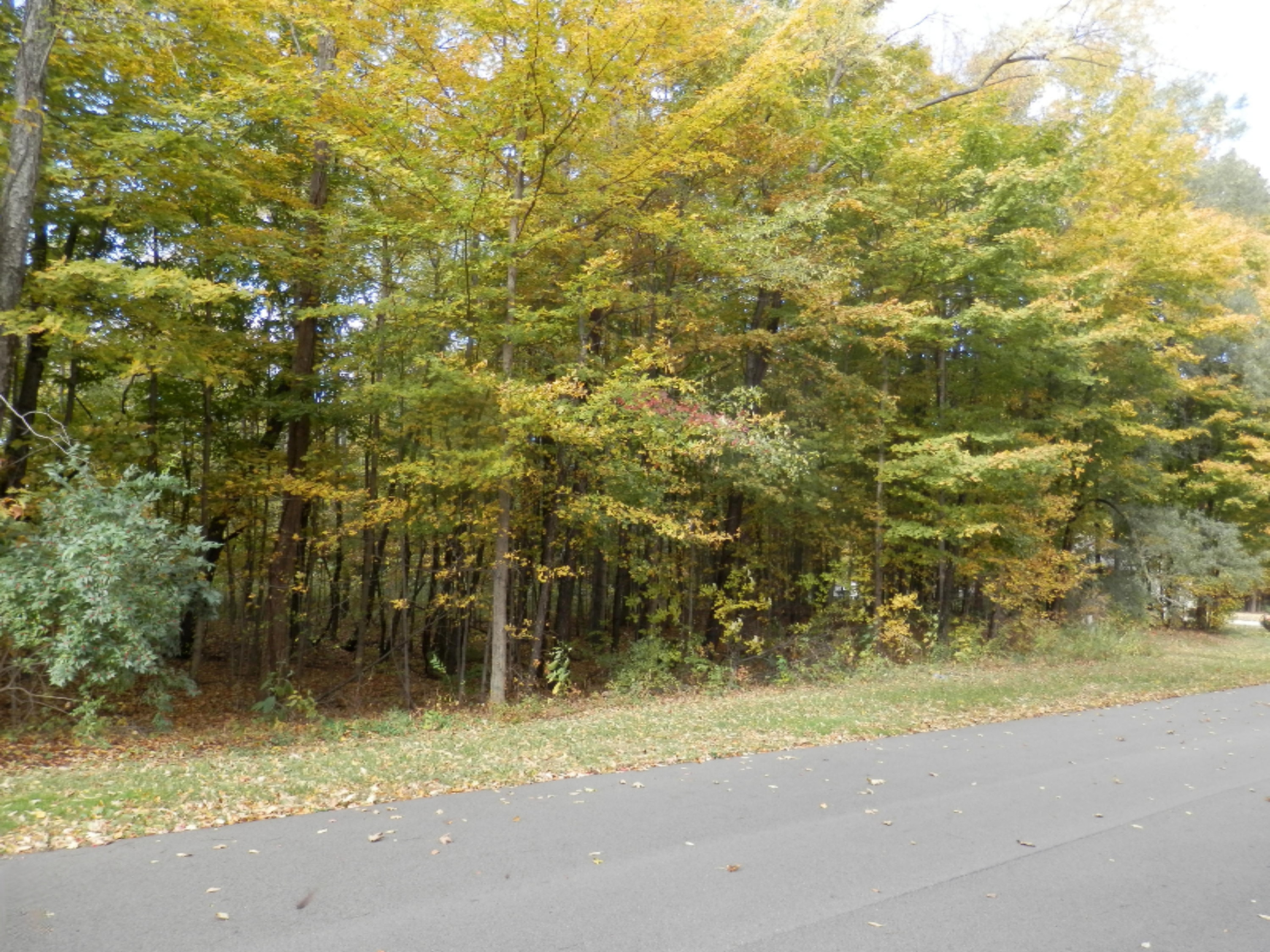 1 Harlan Drive Property Photo 6