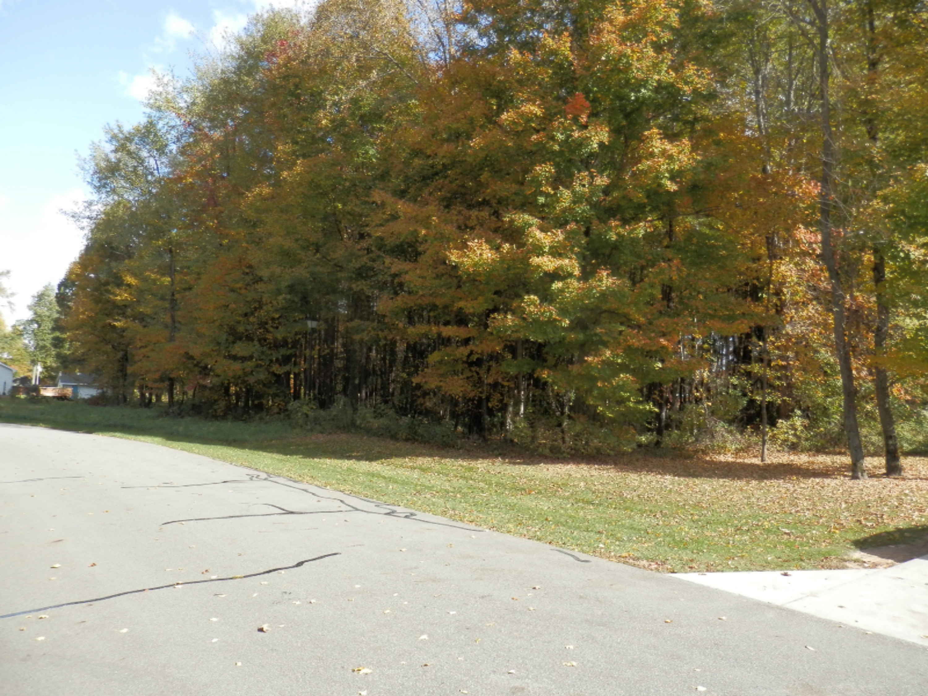 21 Harlan Drive Property Photo 5