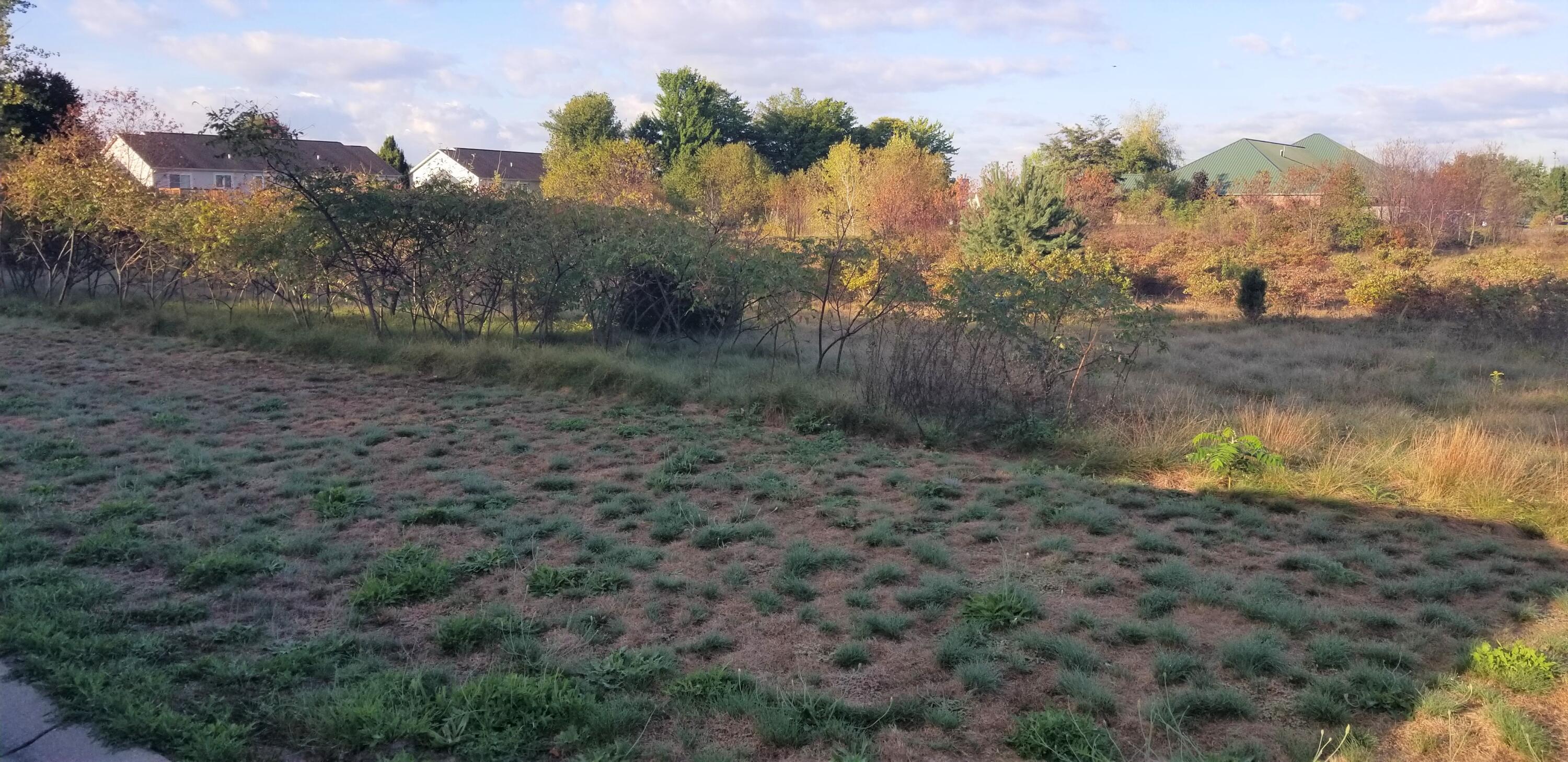 1646 Eastwind Drive Property Photo 2