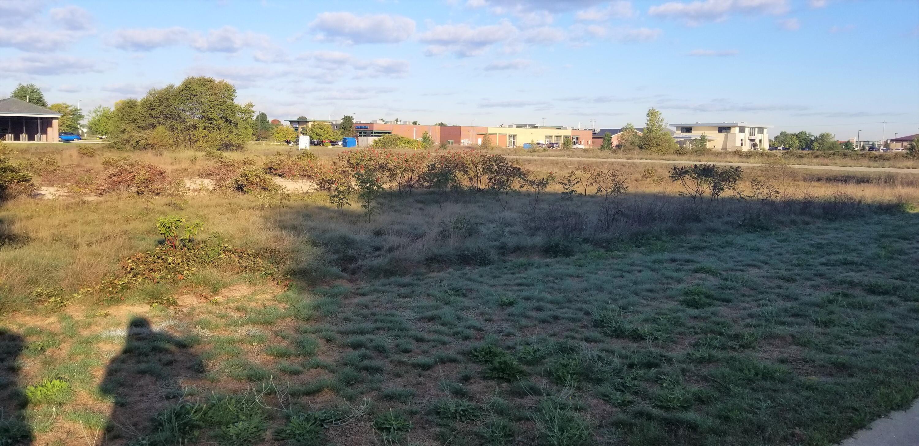 1646 Eastwind Drive Property Photo 3