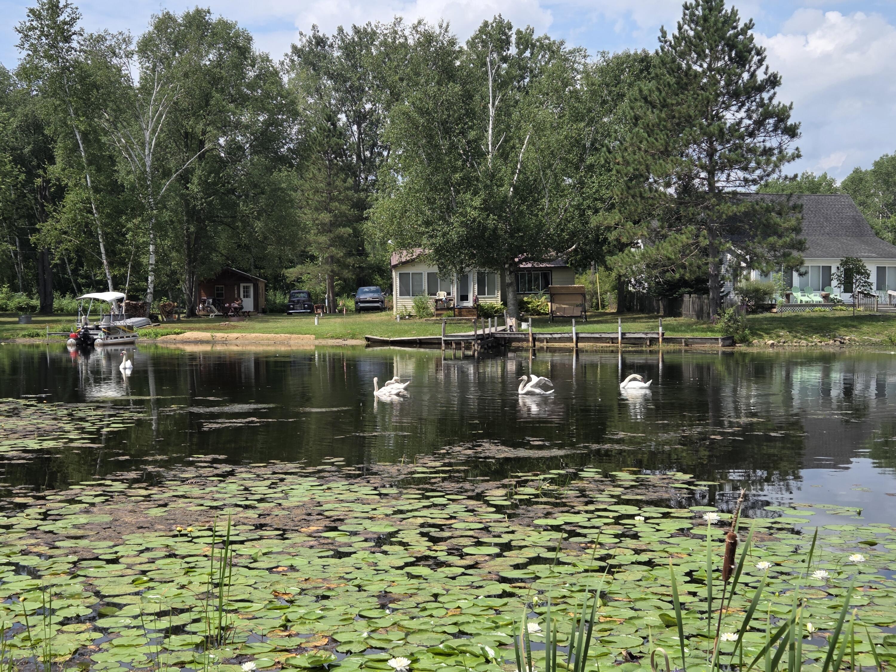 4790 4th Street Property Photo 23