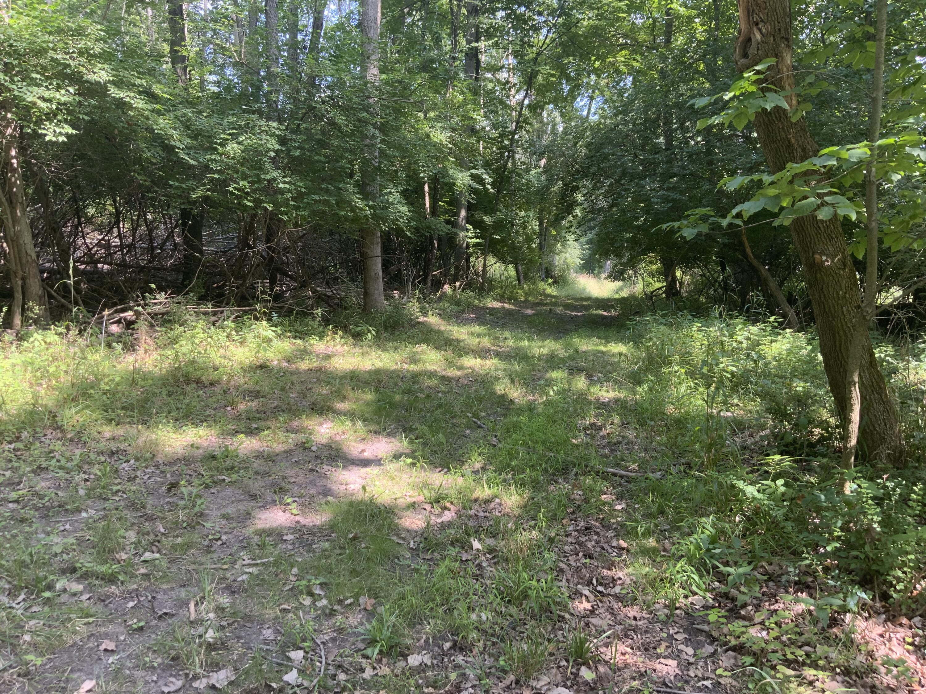 4350 Bailey Road Property Photo 33