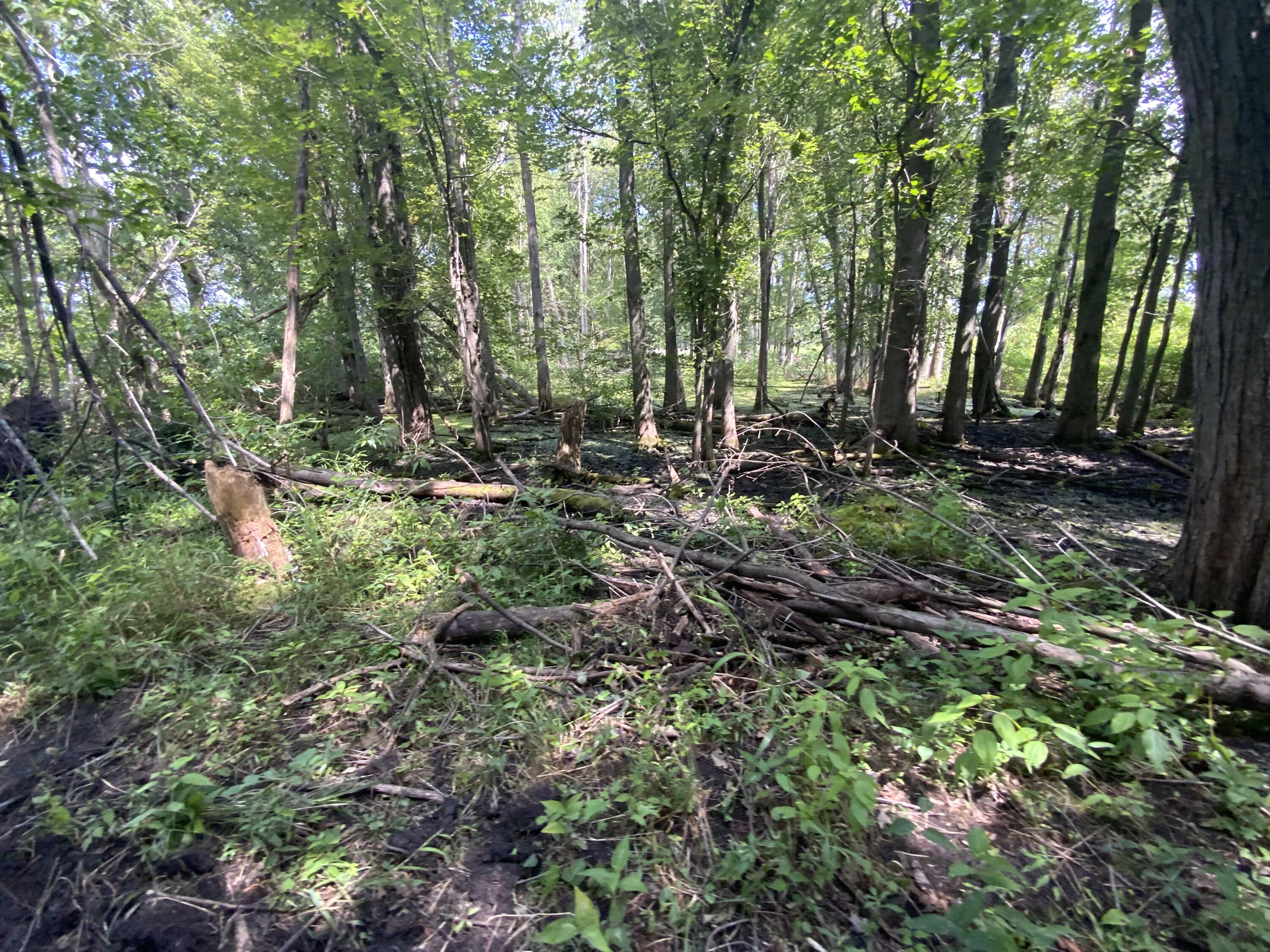 4350 Bailey Road Property Photo 35