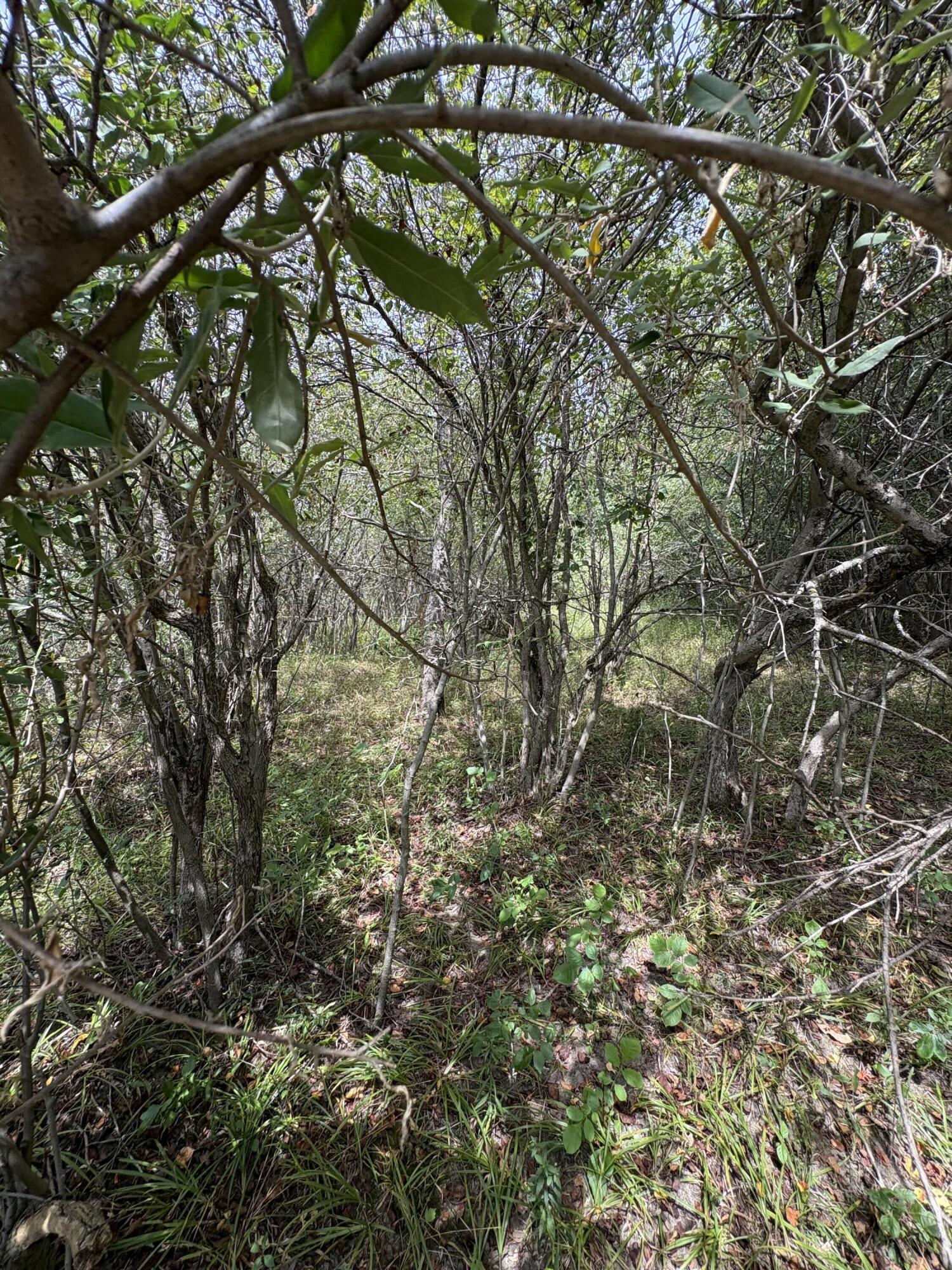 Lake Miramachi Lots 519,520 Property Photo 1