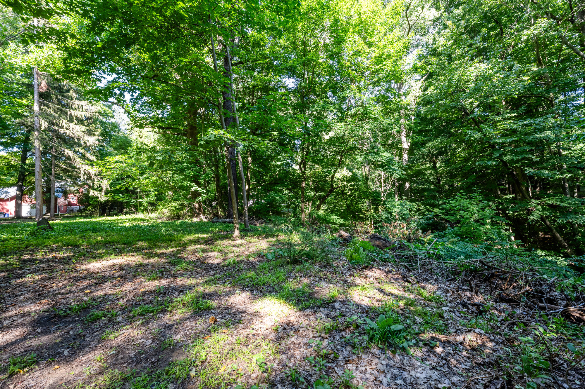 246 Webster Avenue Property Photo 9