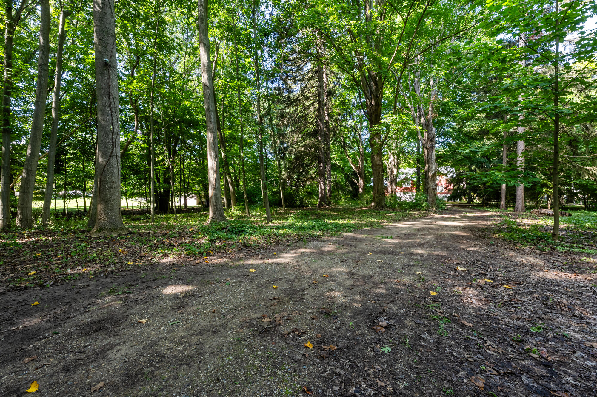 246 Webster Avenue Property Photo 10