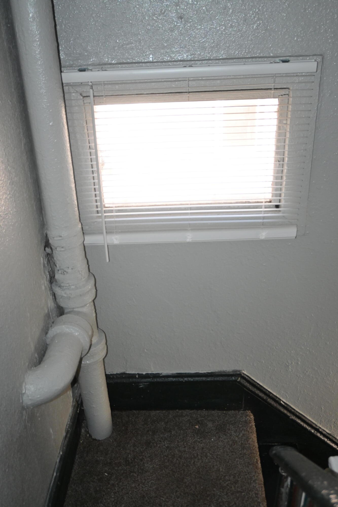 210 Amity Avenue Property Photo 27