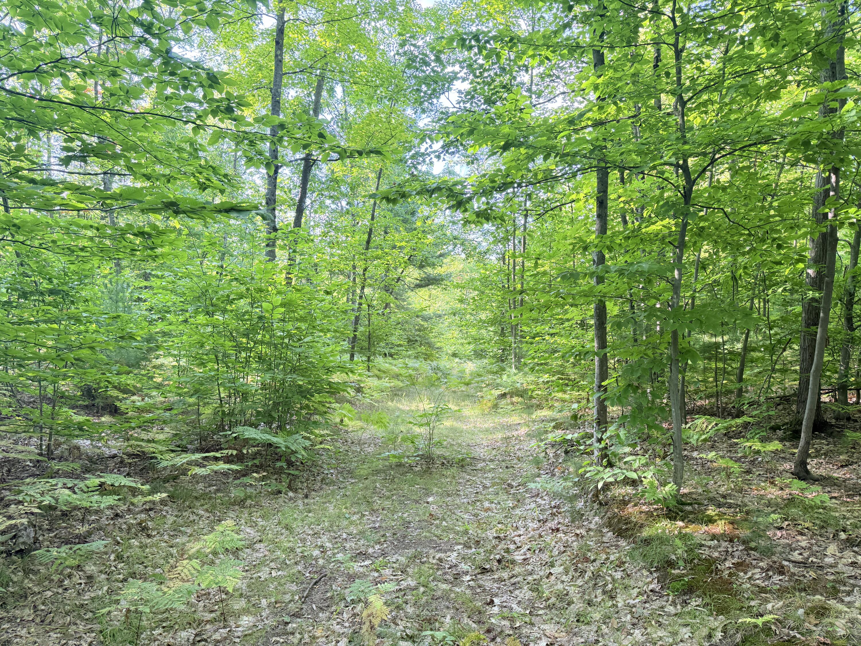 Vl 3 Mile Road Property Photo 1
