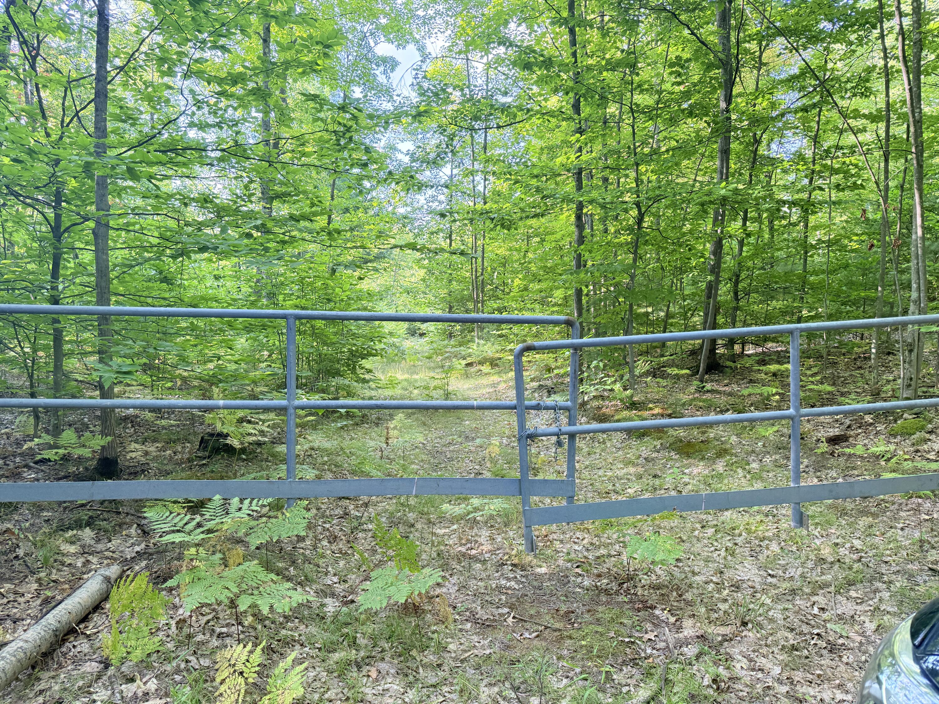 Vl 3 Mile Road Property Photo 3