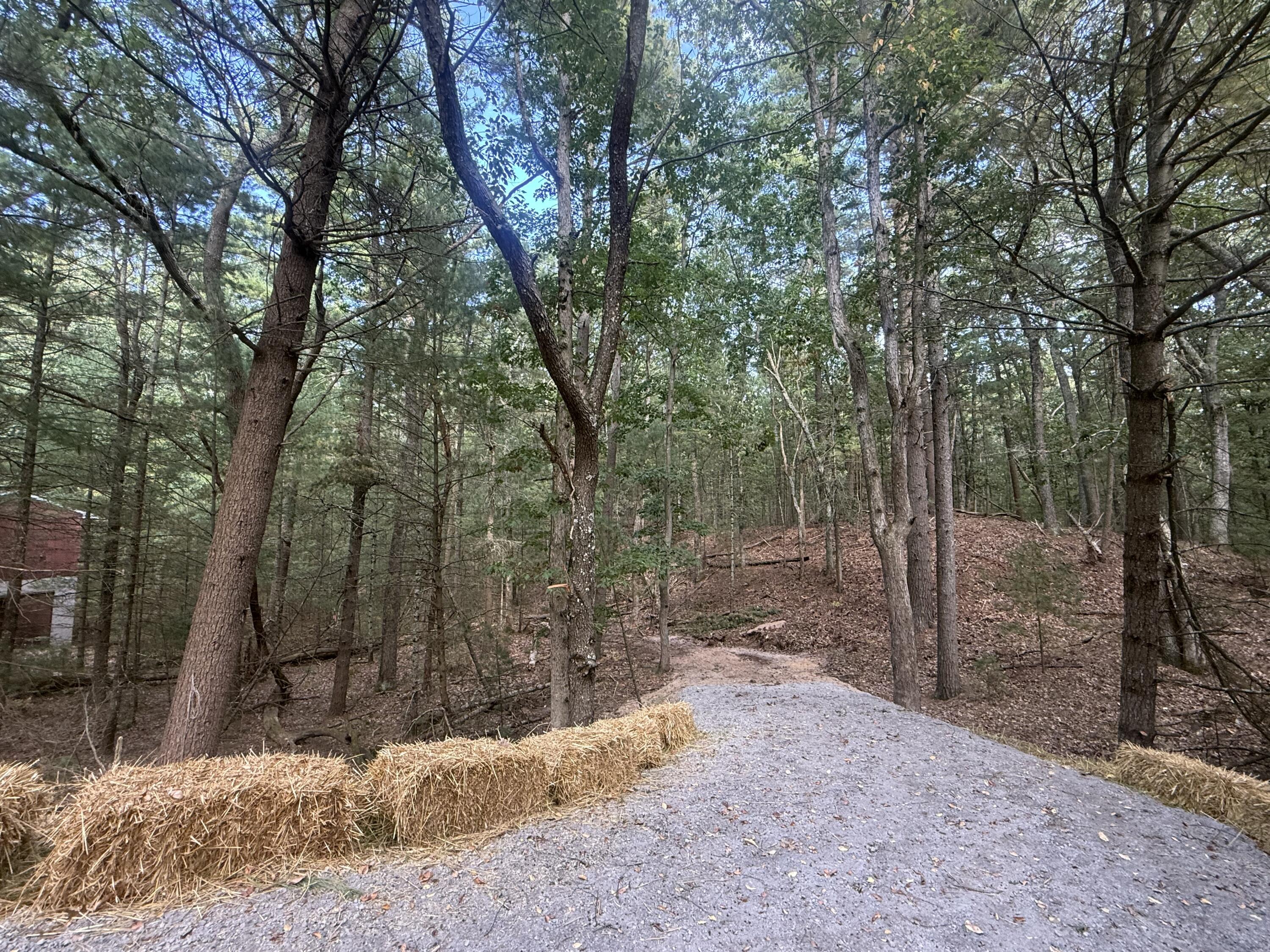 Vl Lenox Property Photo 1