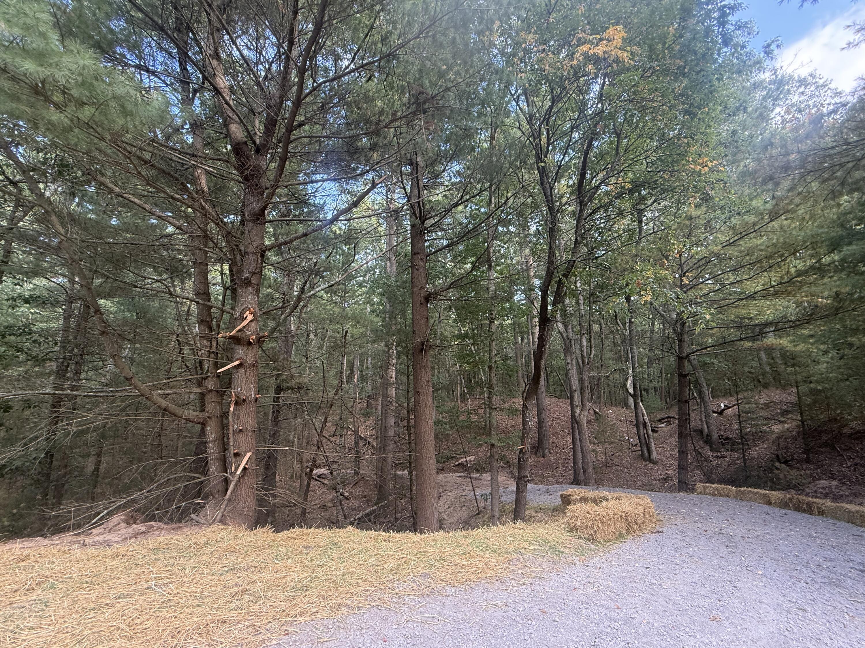 Vl Lenox Property Photo 3
