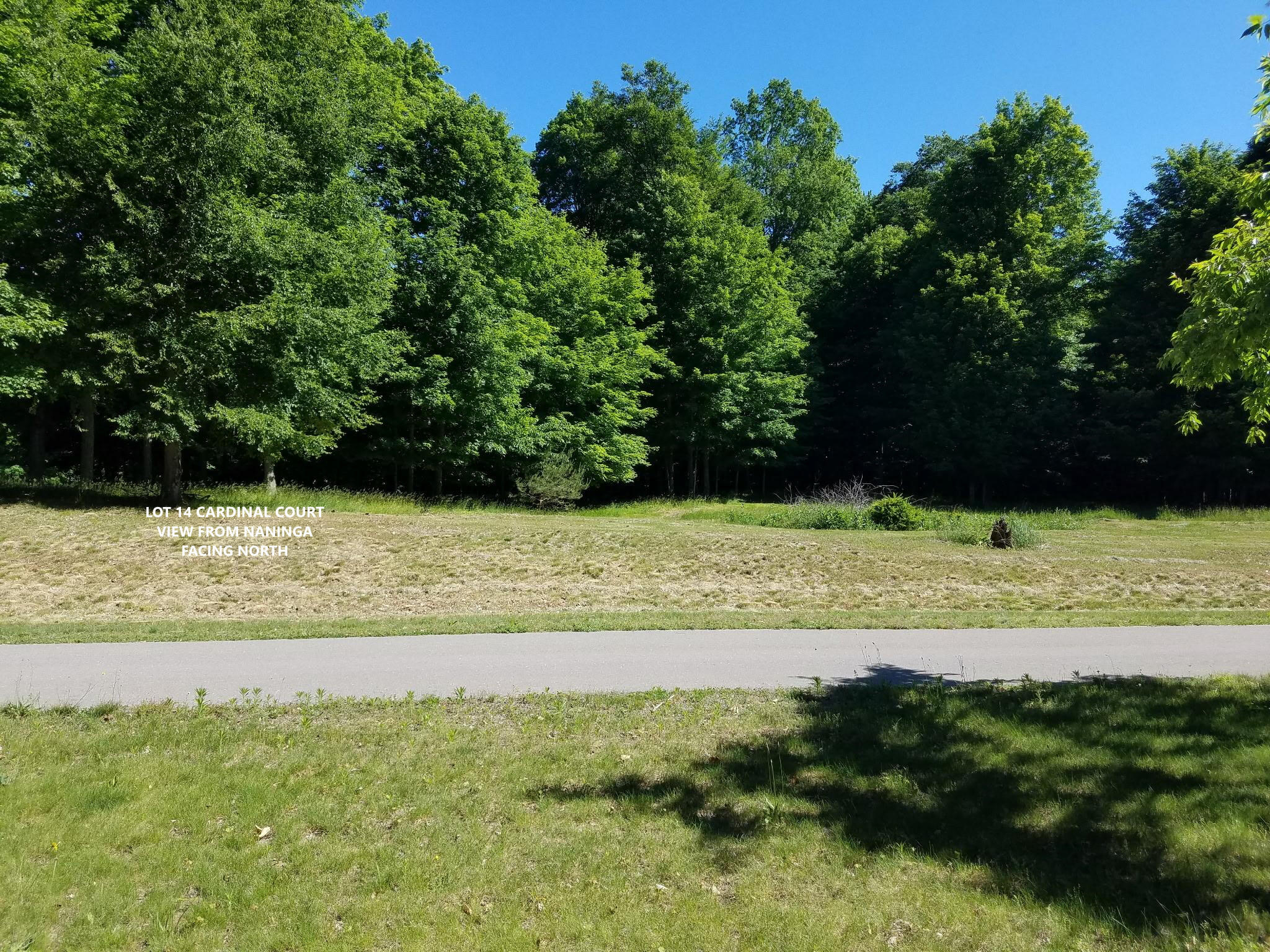 5816 N Cardinal Court Property Photo 9