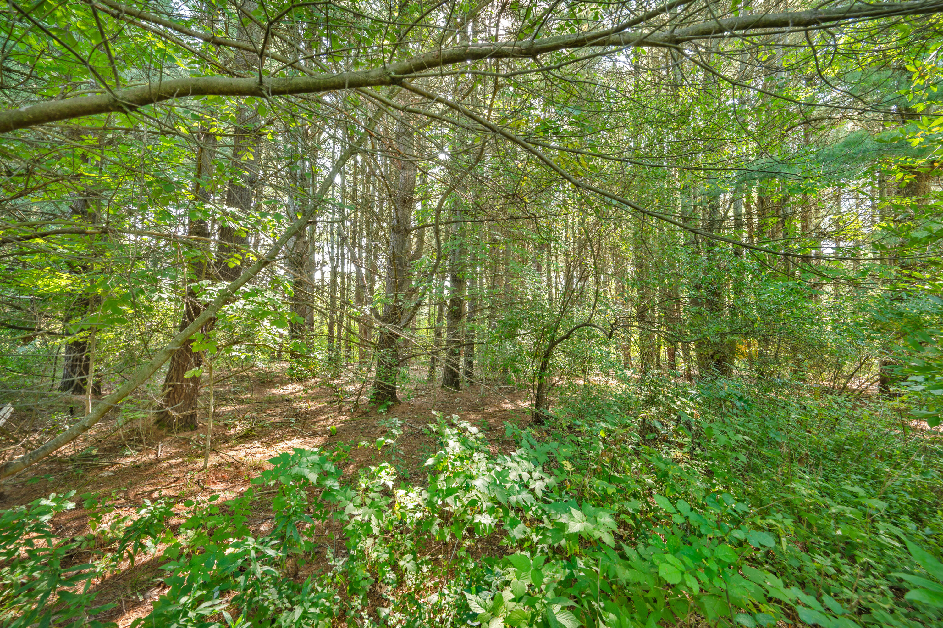 Lot 14 Executive Dr Property Photo 8